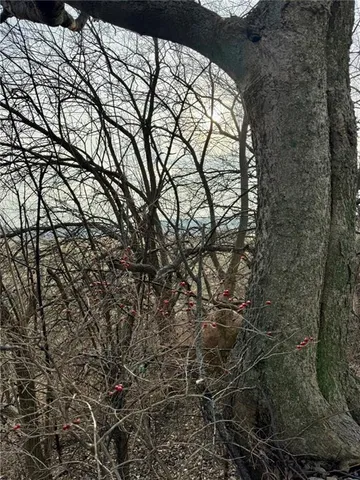 $300,000 | Lot 2 Northwest Plotsky Avenue, Plattsburg, MO 64477