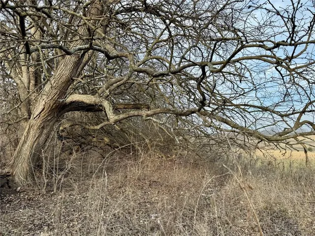 $300,000 | Lot 2 Northwest Plotsky Avenue, Plattsburg, MO 64477