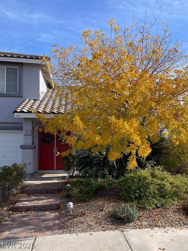 1028 Spring Pond Court Henderson, NV 89002 - Photo 43 of 44