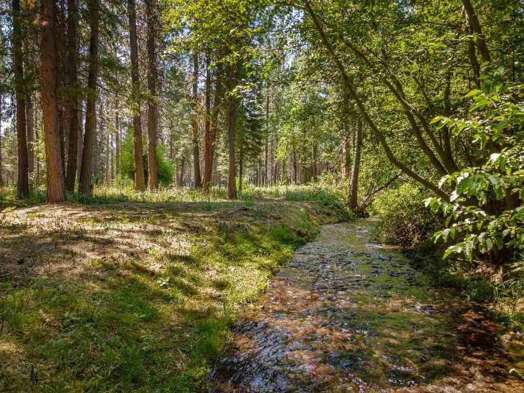Lot B Red Cloud Ranch Road McCloud, CA 96057 - Photo 18 of 18 Gallery Image 18