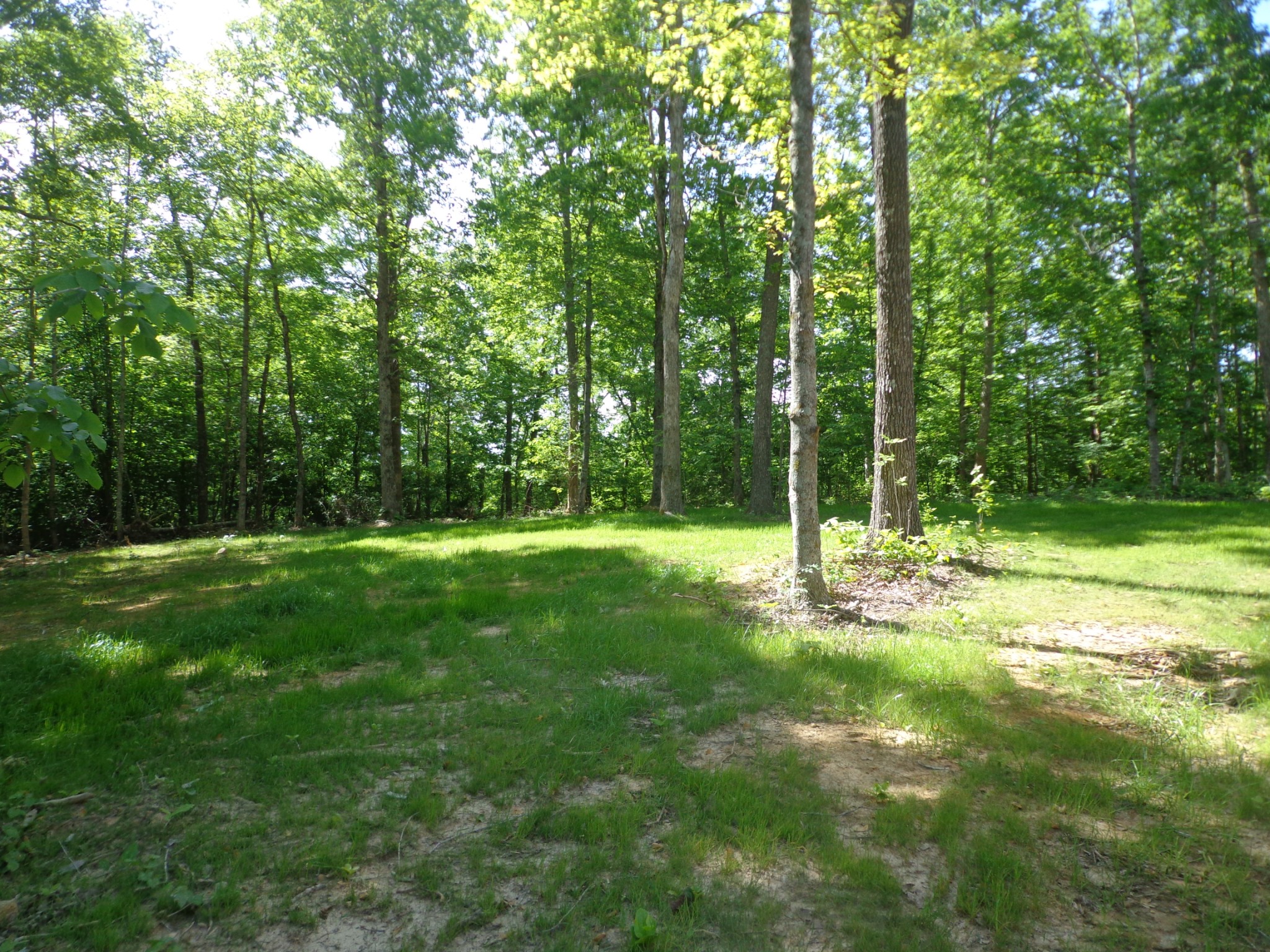 700 Hillcrest Road Waverly, TN 37185 - Photo 45 of 49 a view of a yard with a tree