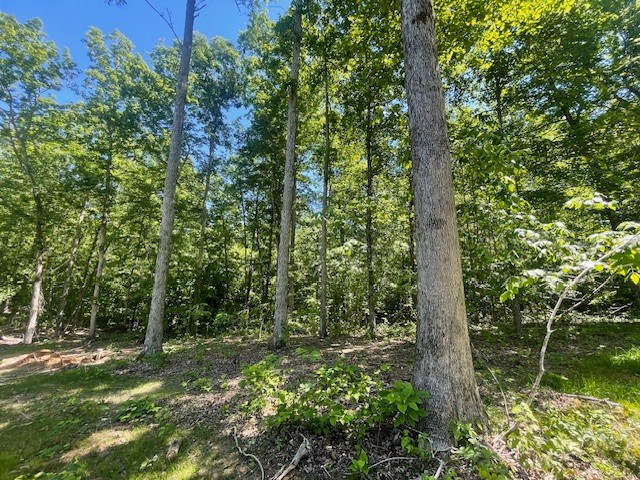 700 Hillcrest Road Waverly, TN 37185 - Photo 46 of 49