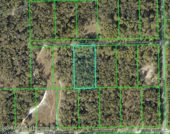 $20,000 | 0 Falkirk Street, Webster, FL 33597