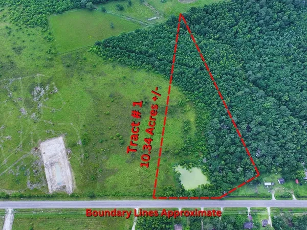 a view of a bird bath