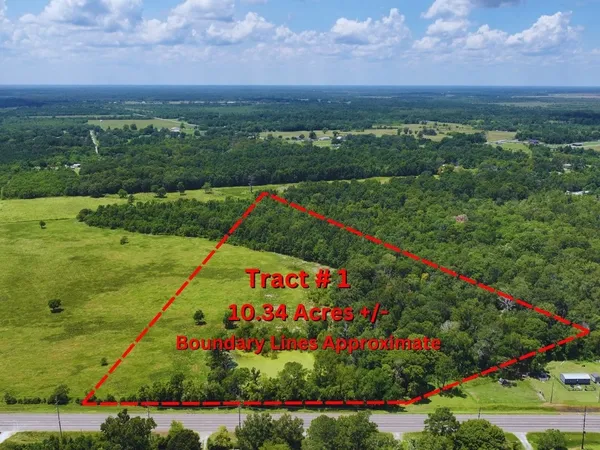 a view of a bunch of flowers and buildings in background