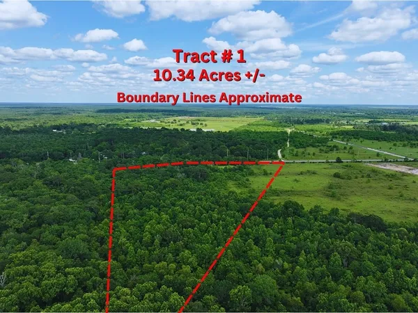 a view of an outdoor space in front of statue