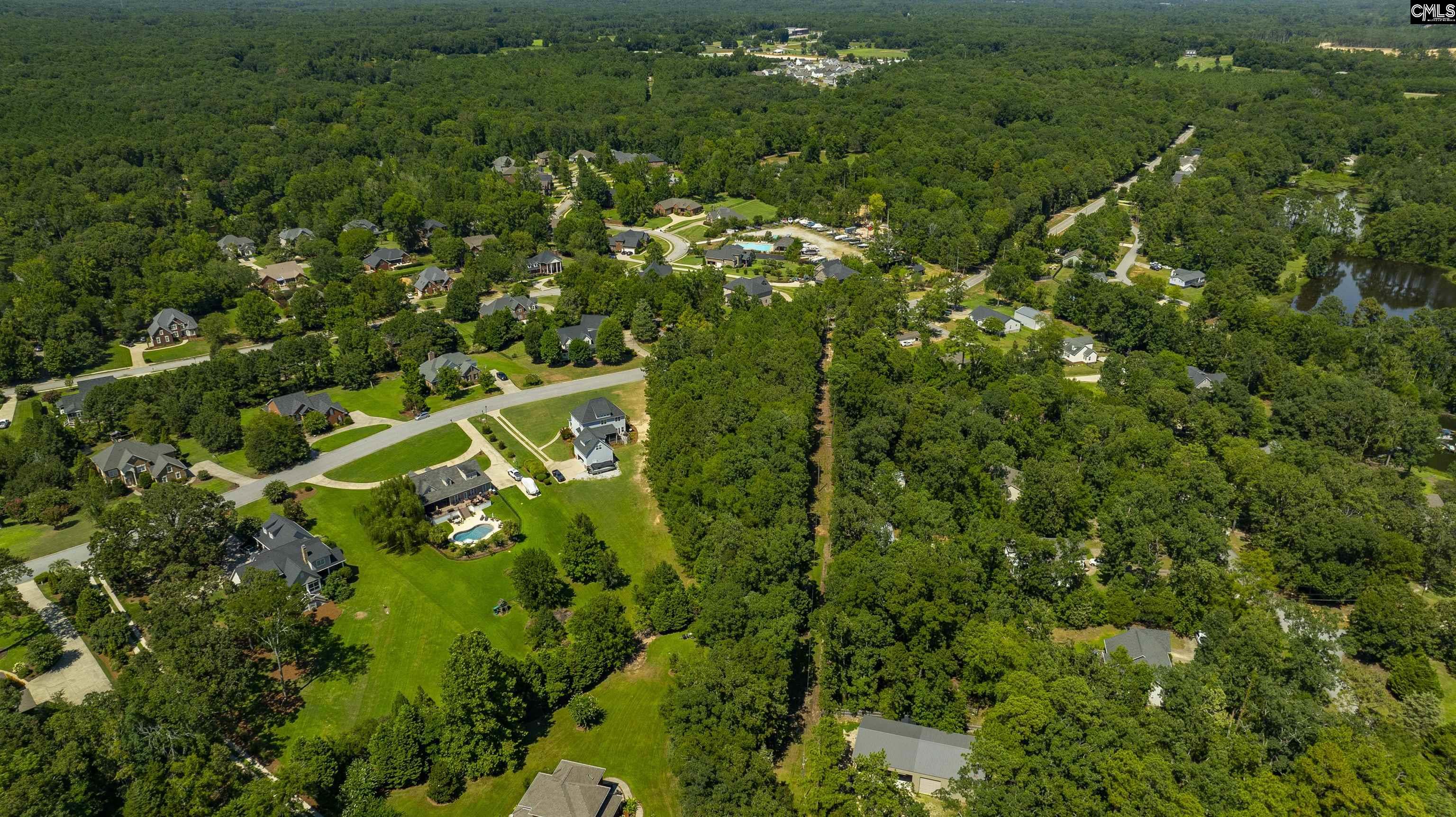 409 Caro Lane Chapin, SC 29036 - Photo 14 of 24