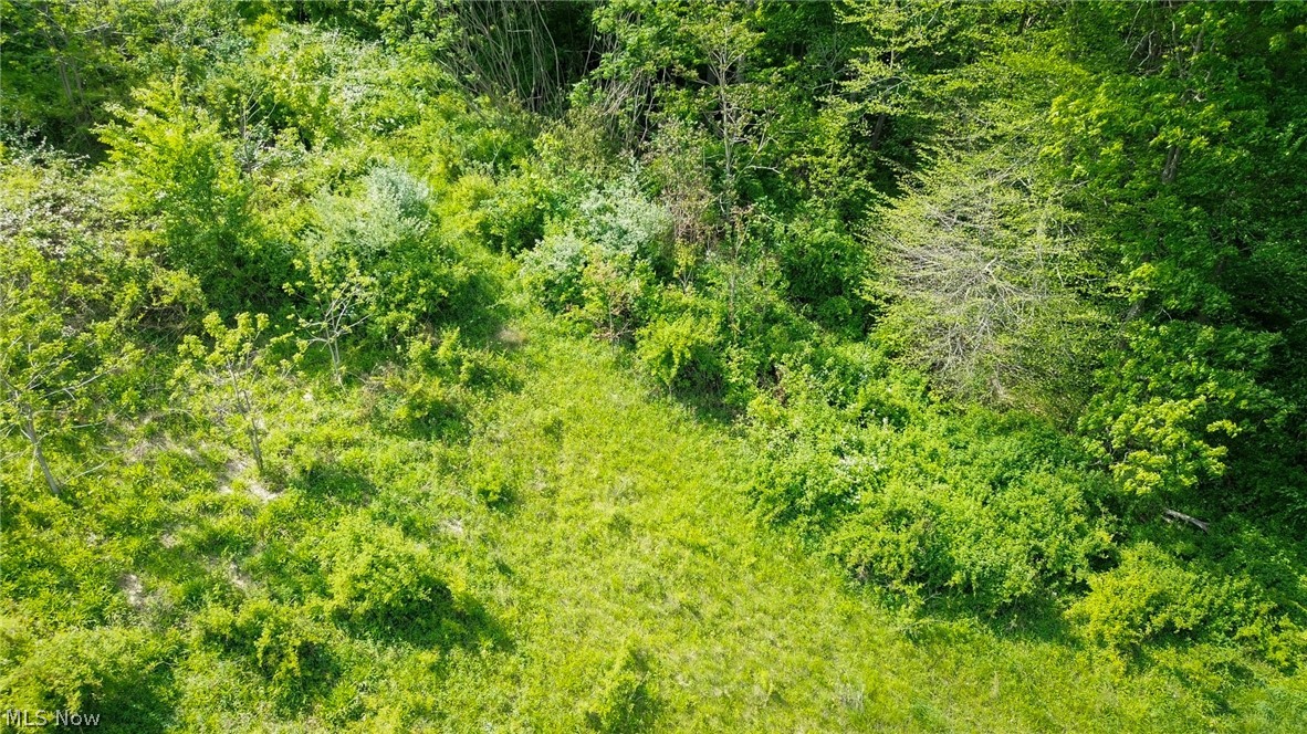 Degen Road Southwest Stone Creek, OH 43840 - Photo 17 of 19
