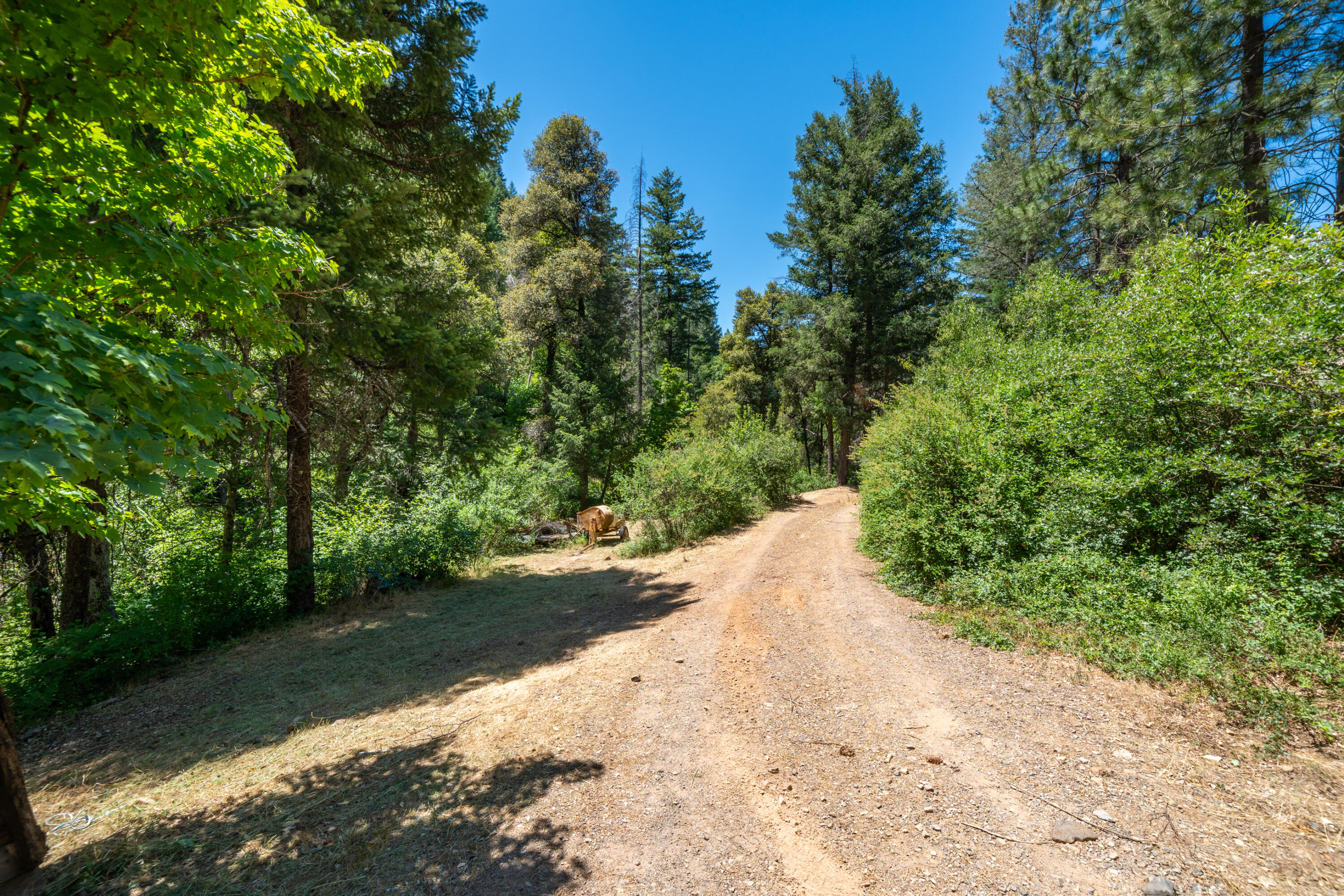 0 East Fork Road French Gulch, CA 96033 - Photo 17 of 78 a view of a road with a trees in the background