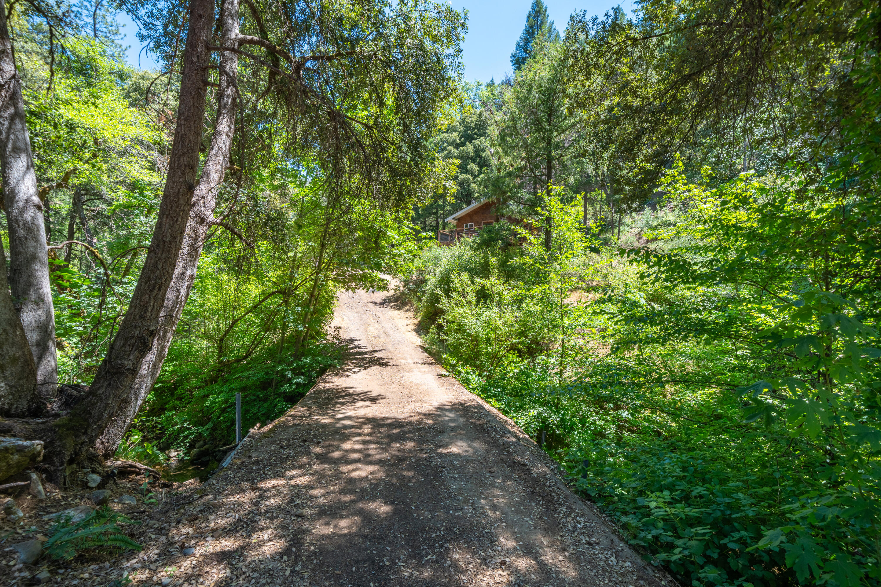 0 East Fork Road French Gulch, CA 96033 - Photo 18 of 78 a view of a pathway both side of yard