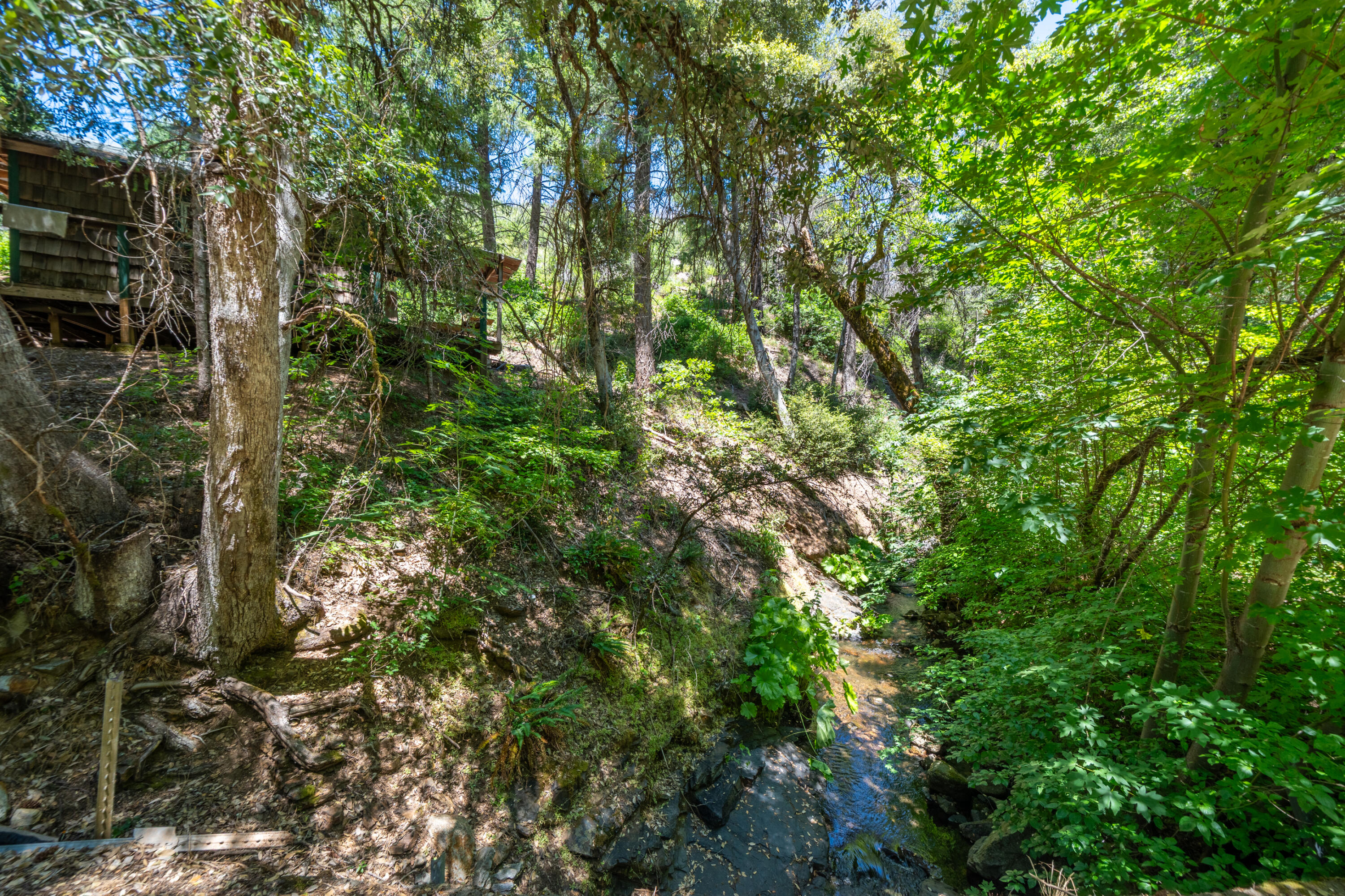 0 East Fork Road French Gulch, CA 96033 - Photo 19 of 78 French Gulch-31