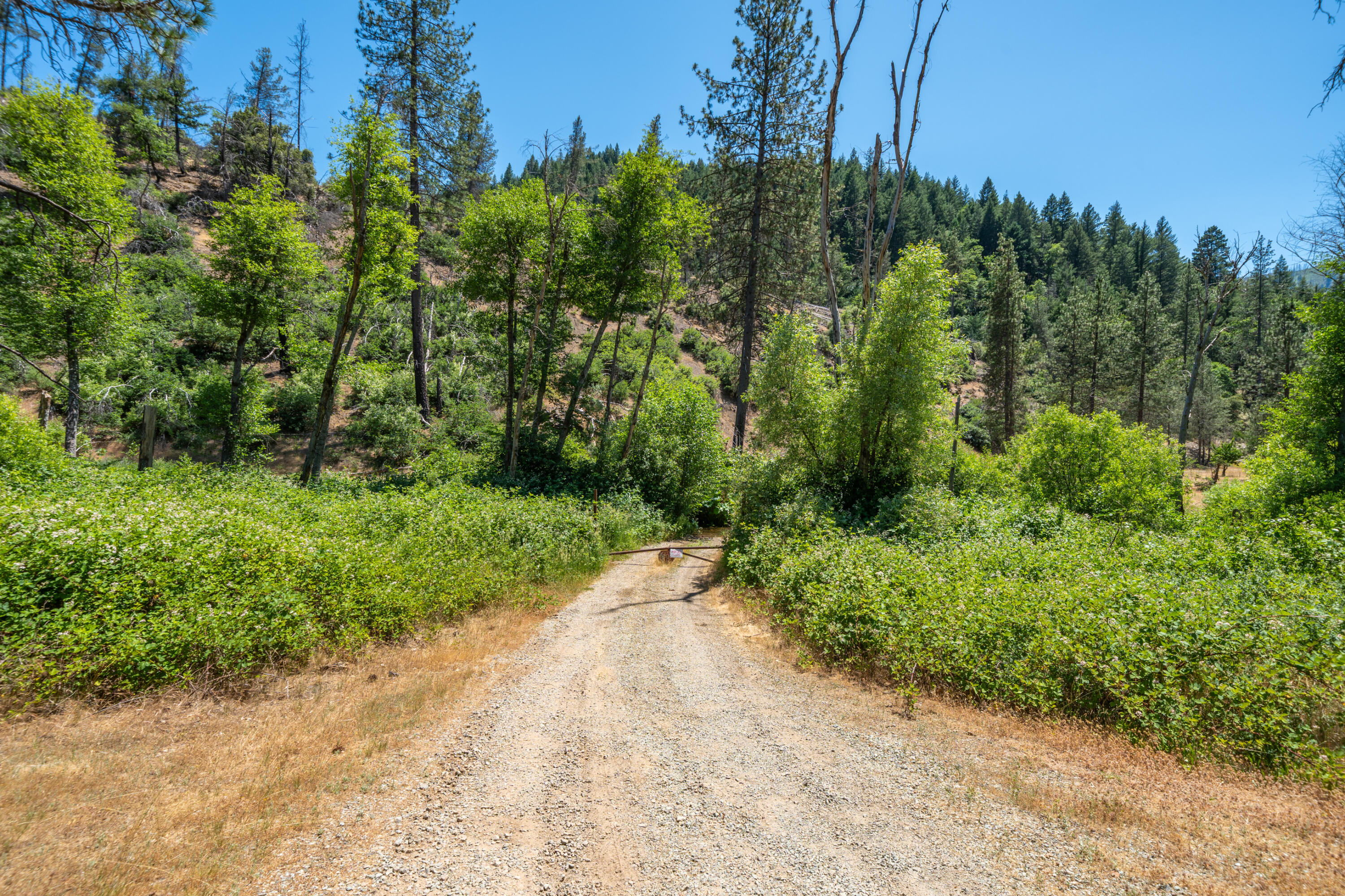 0 East Fork Road French Gulch, CA 96033 - Photo 2 of 78 a view of a road with plants and trees
