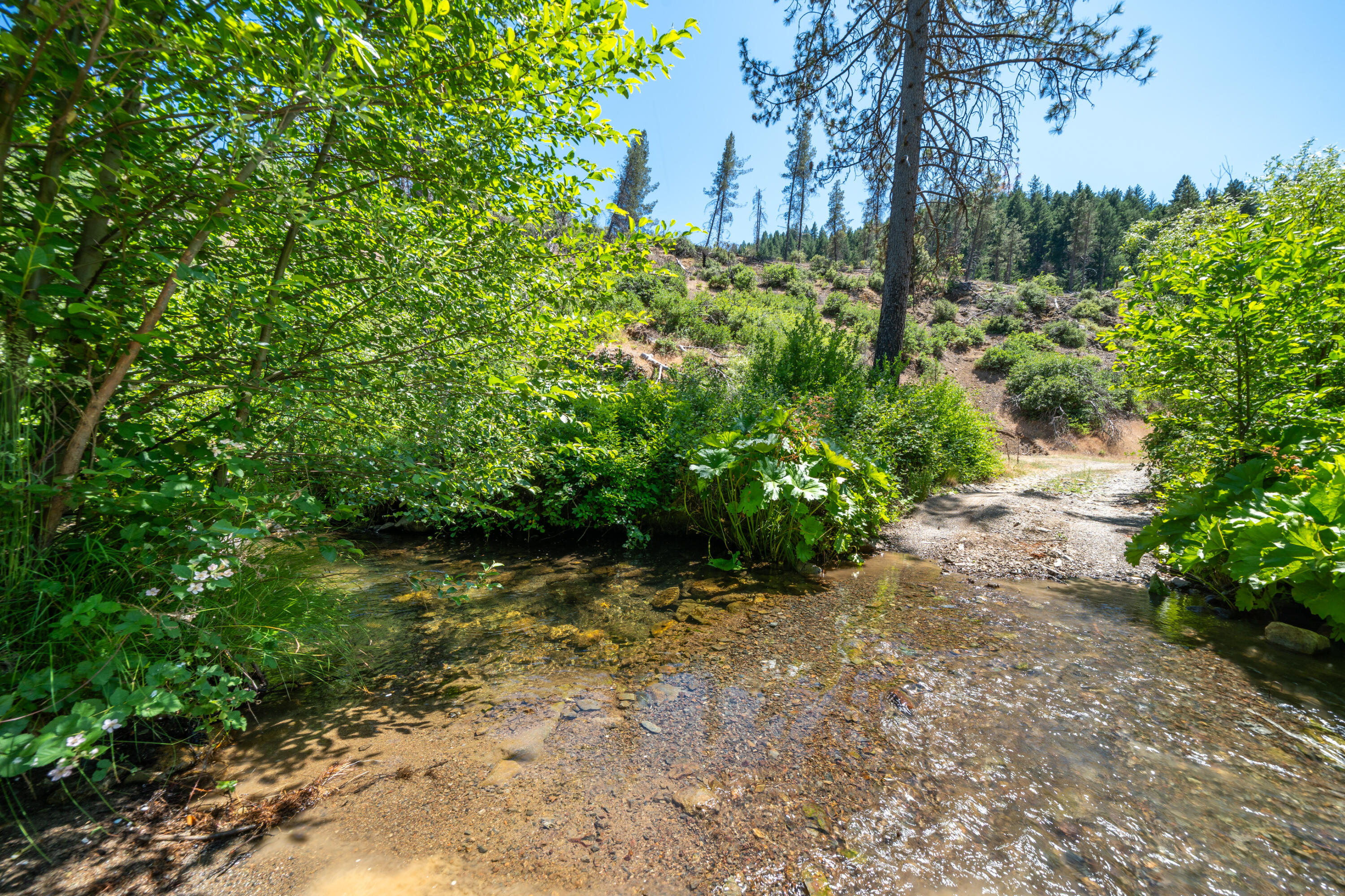 0 East Fork Road French Gulch, CA 96033 - Photo 3 of 78 French Gulch-4