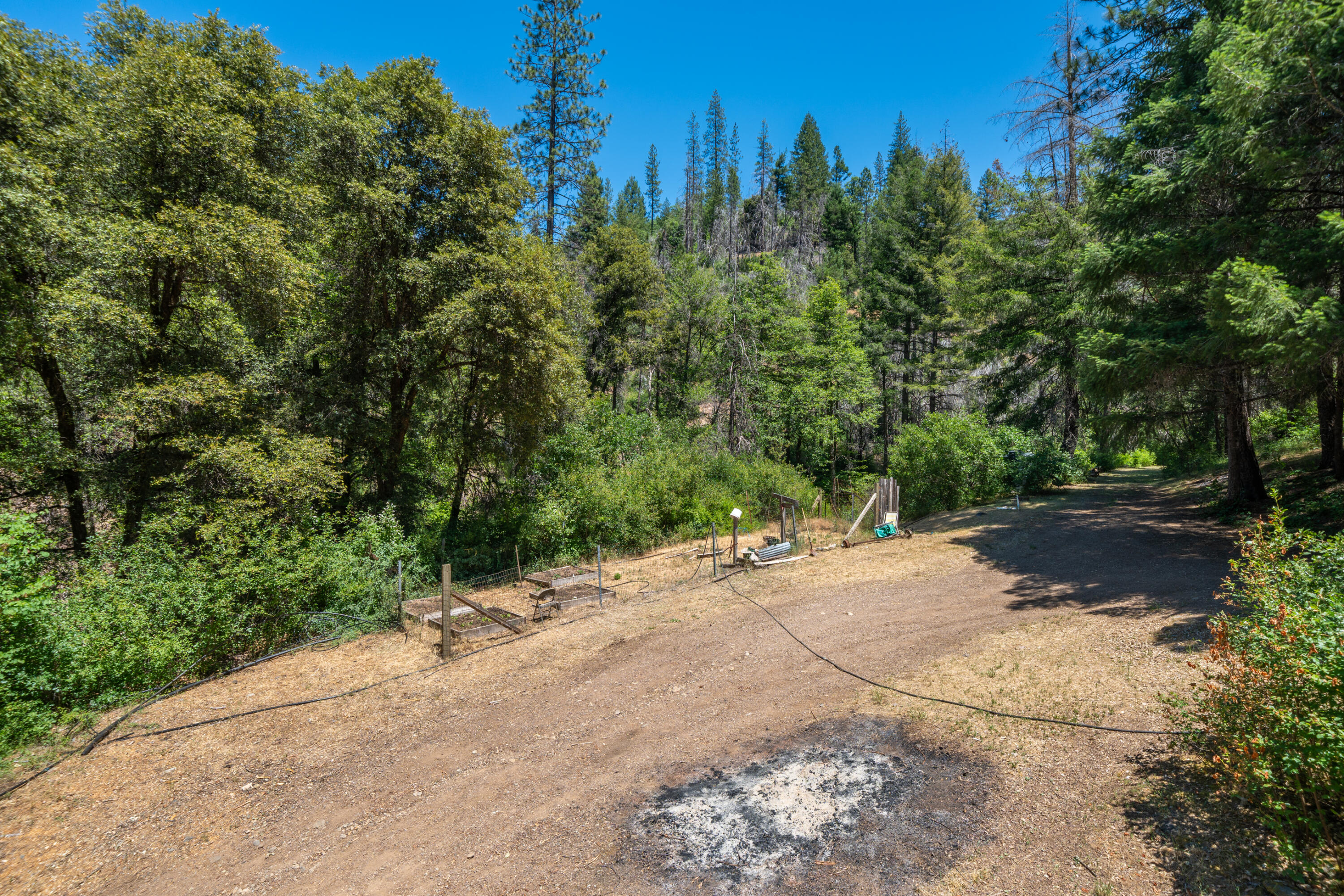 0 East Fork Road French Gulch, CA 96033 - Photo 39 of 78 French Gulch-62
