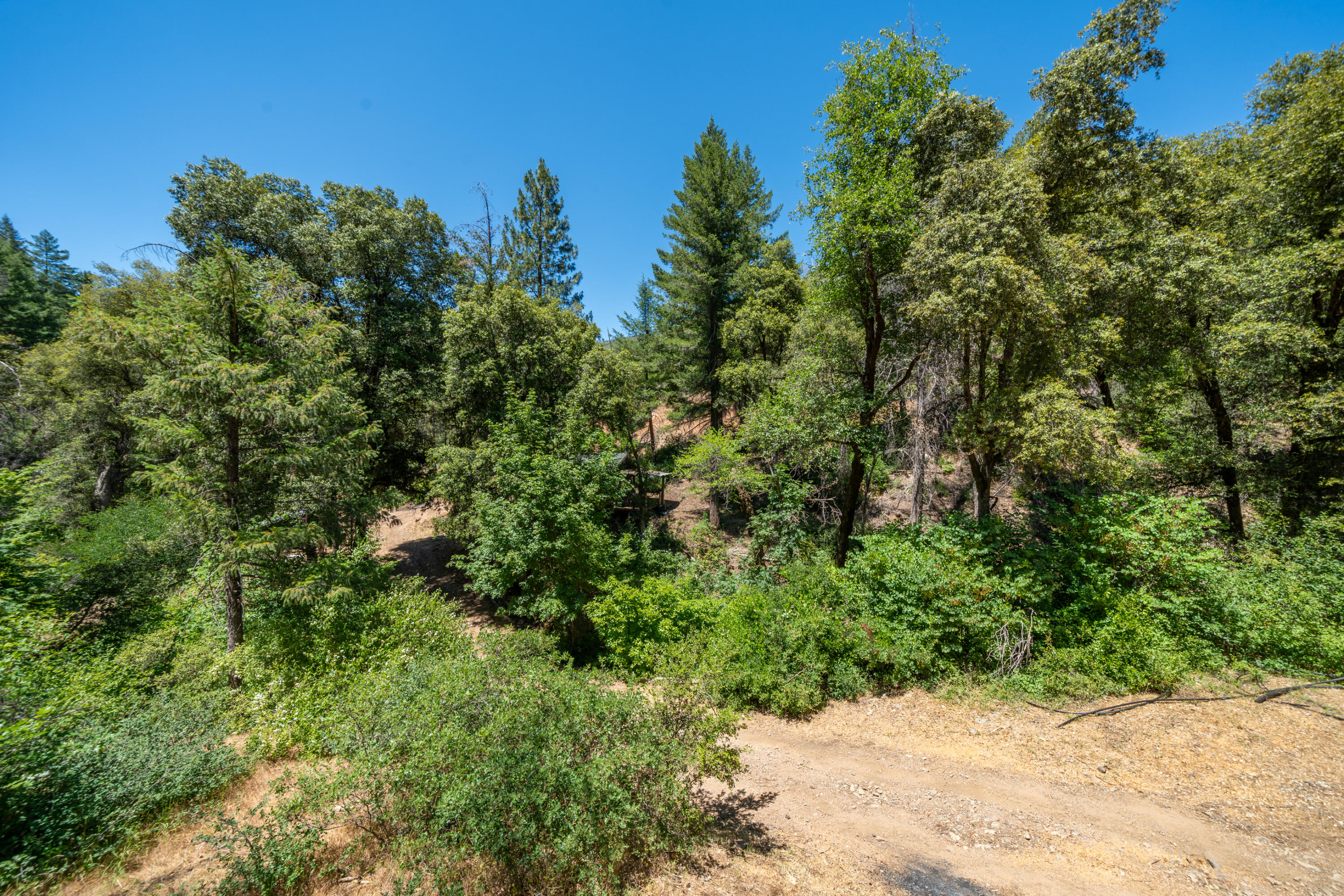 0 East Fork Road French Gulch, CA 96033 - Photo 40 of 78 French Gulch-61