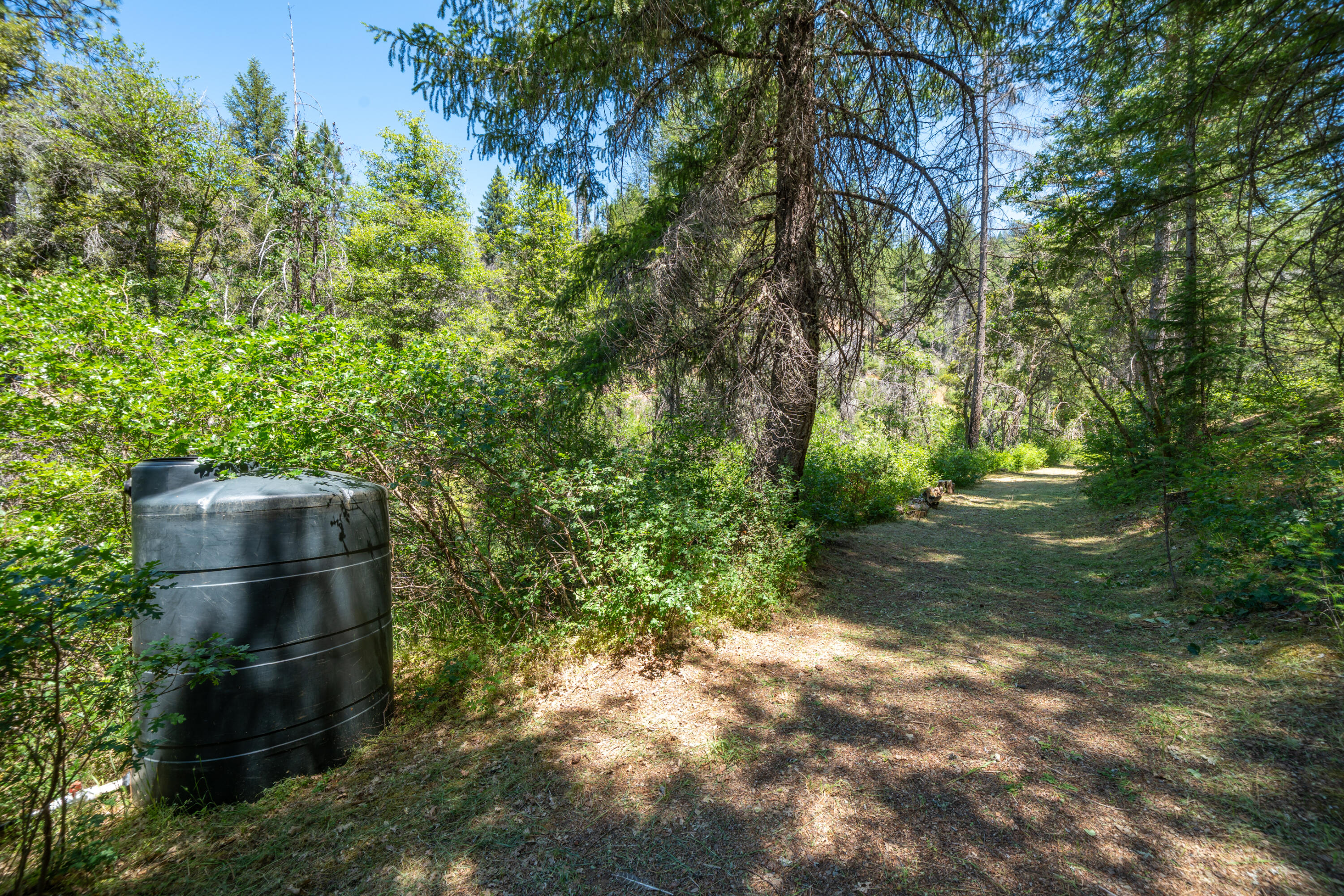 0 East Fork Road French Gulch, CA 96033 - Photo 44 of 78 a view of outdoor space and yard