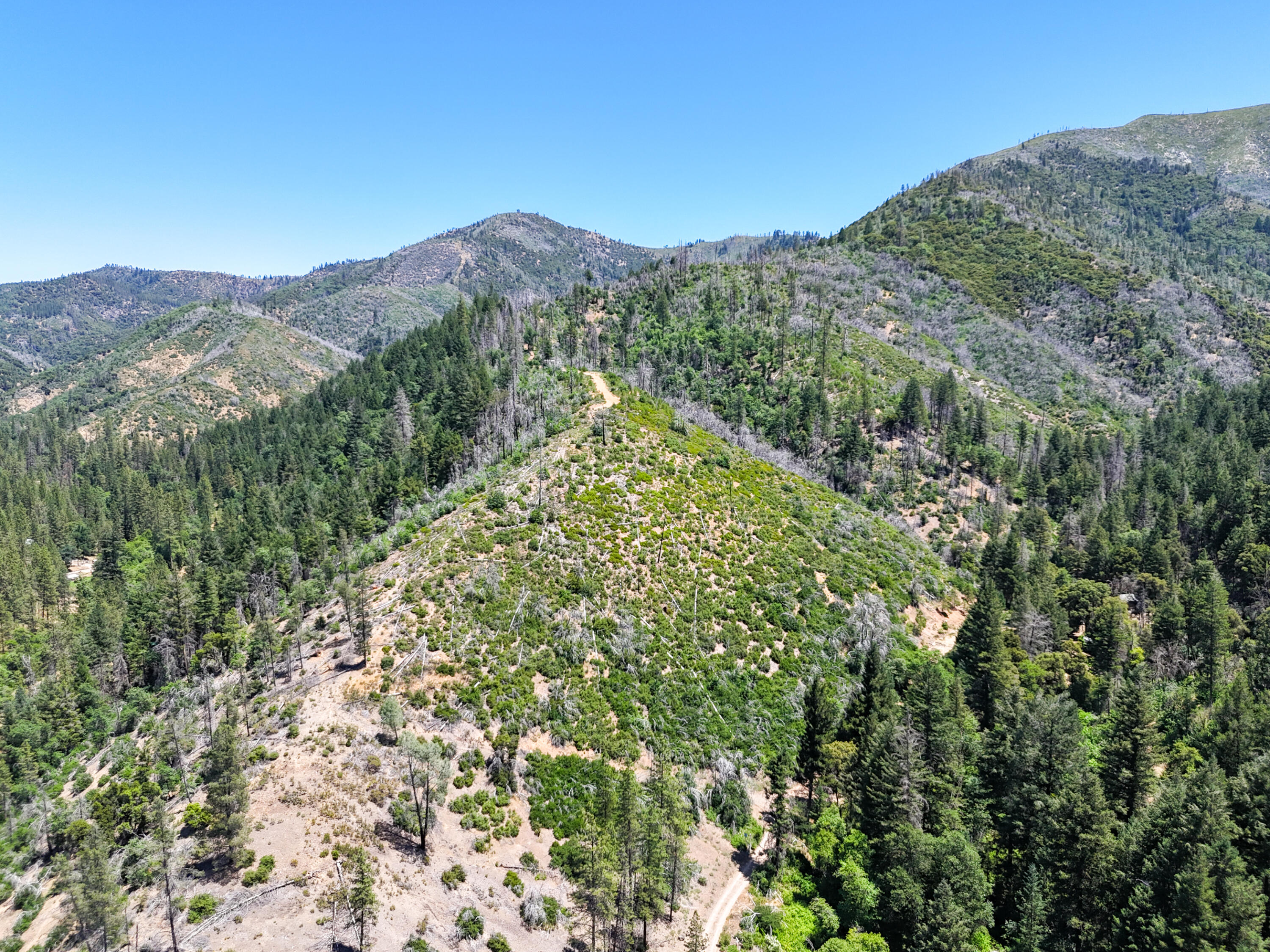 0 East Fork Road French Gulch, CA 96033 - Photo 47 of 78 a view of a lush green forest with mountains in the background