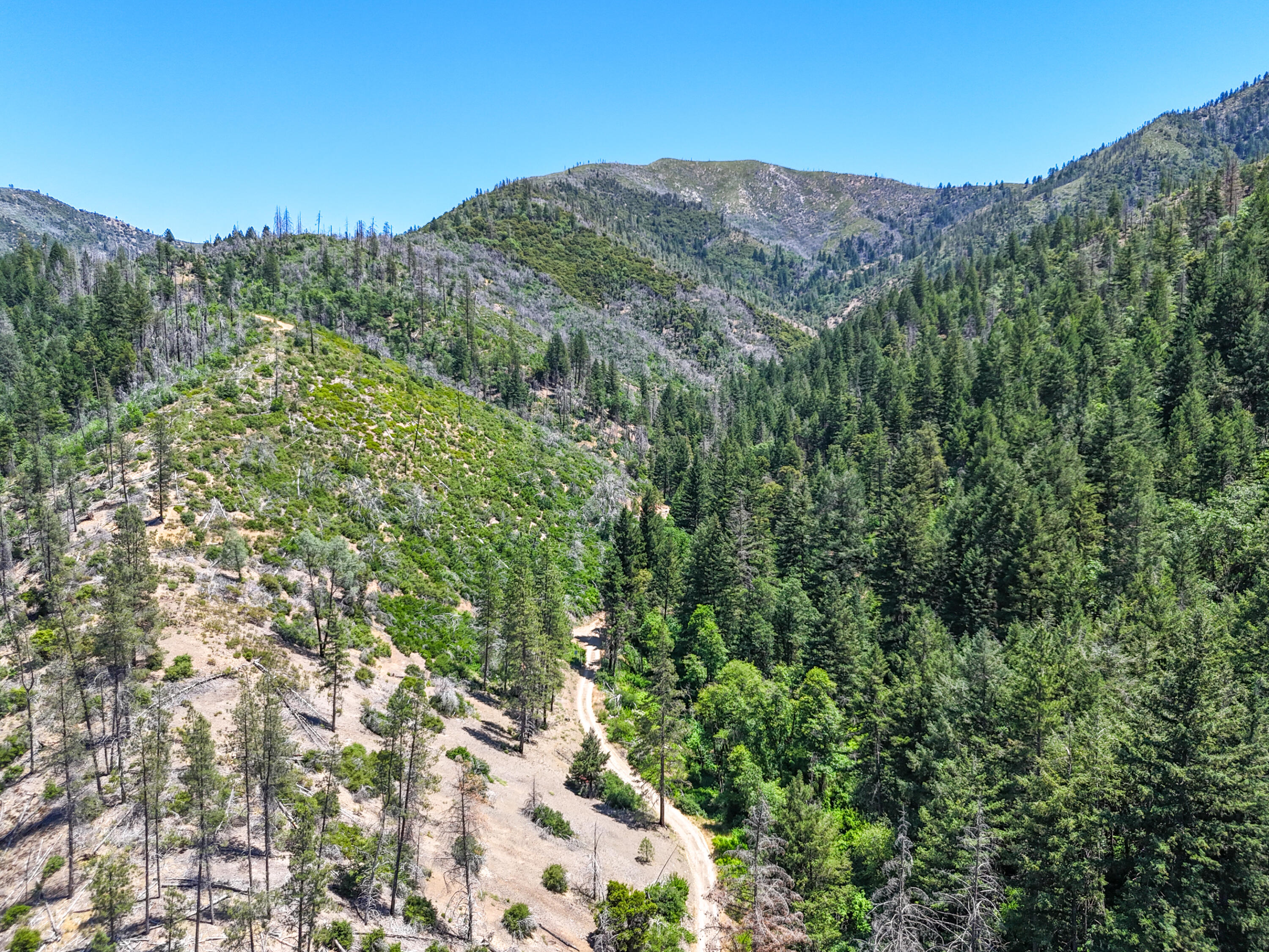 0 East Fork Road French Gulch, CA 96033 - Photo 48 of 78 a view of a mountain range with trees in the background