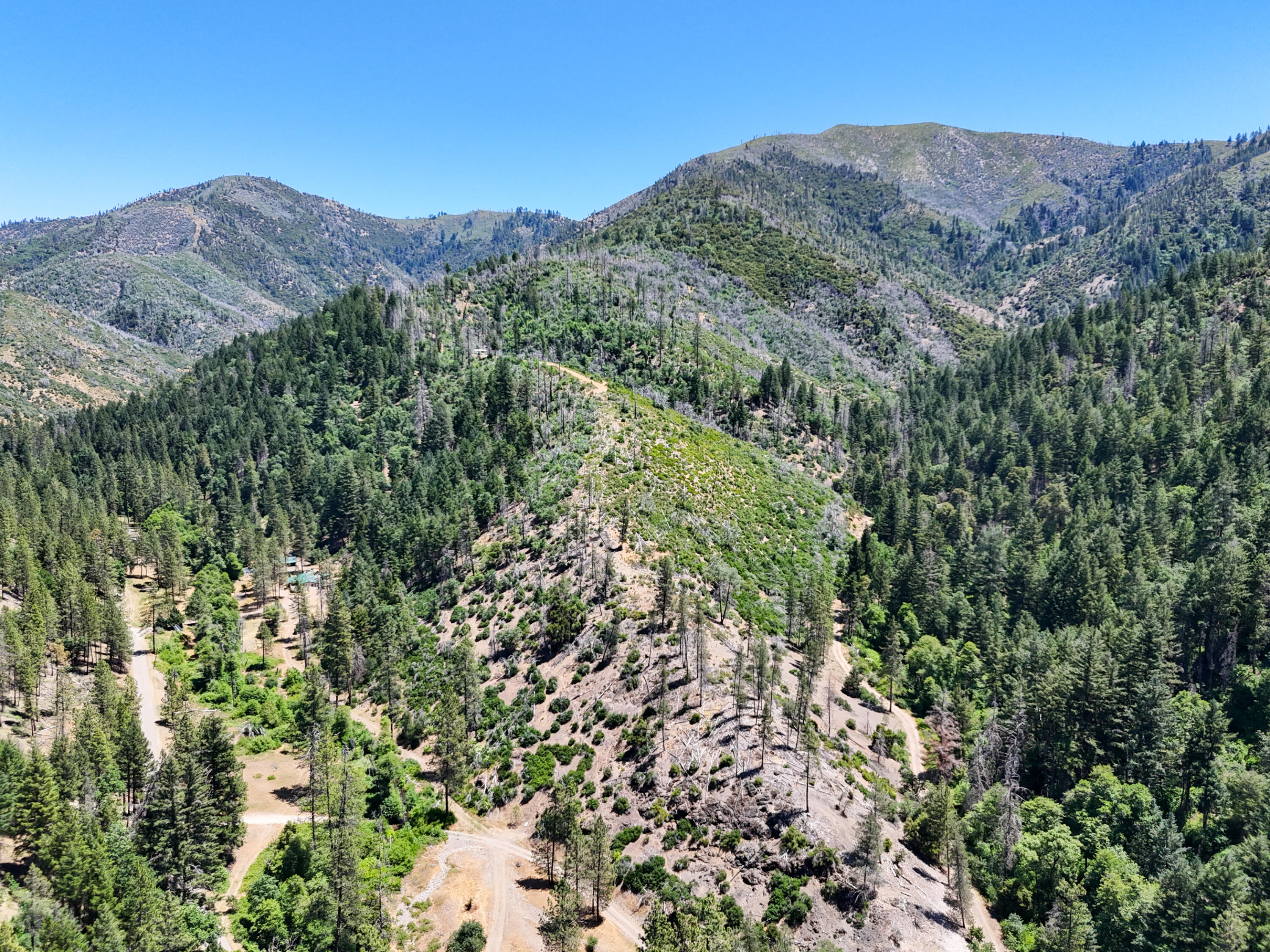 0 East Fork Road French Gulch, CA 96033 - Photo 49 of 78 a view of a lush green forest with mountains in the background