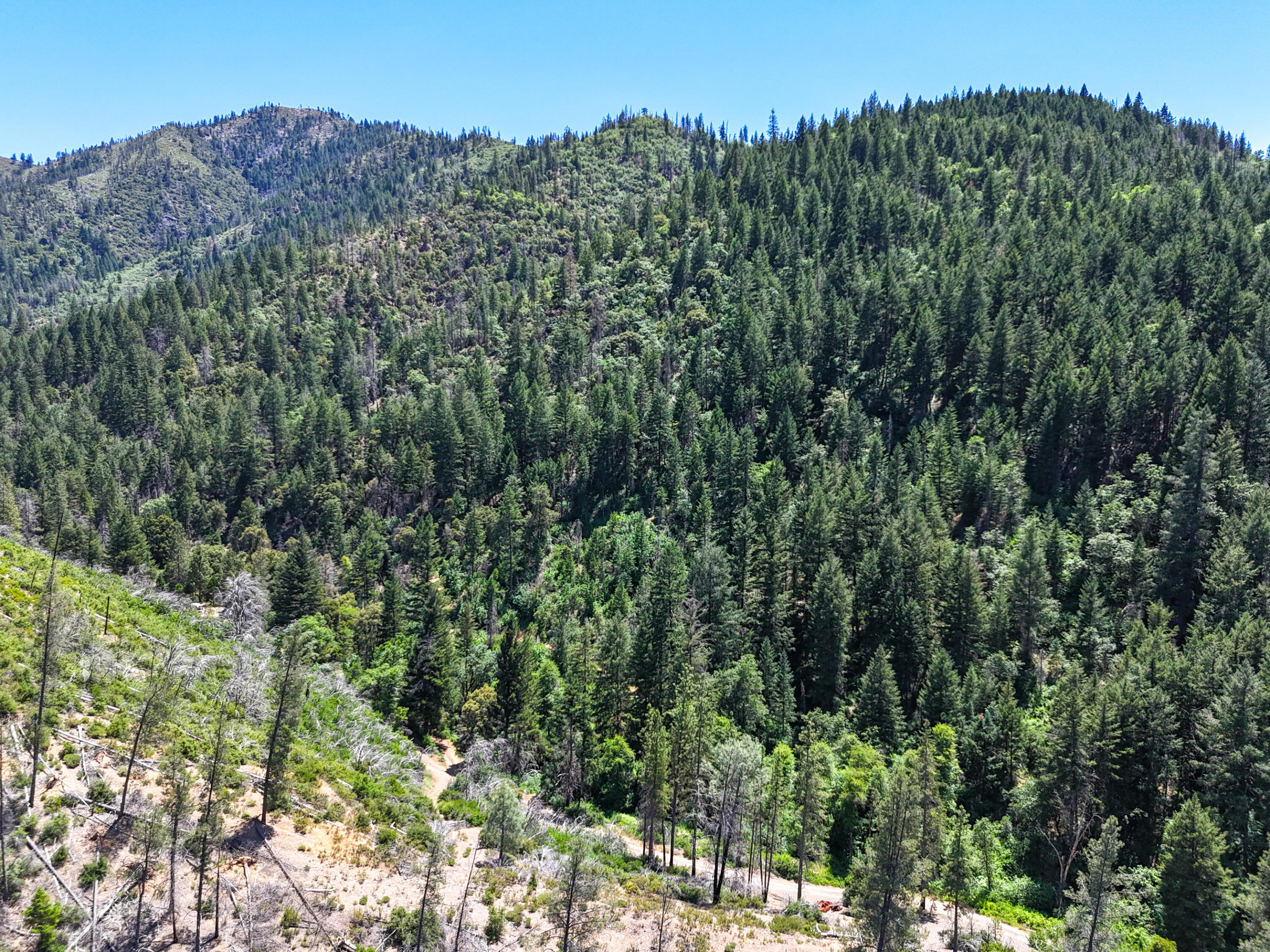 0 East Fork Road French Gulch, CA 96033 - Photo 50 of 78 Drone-6