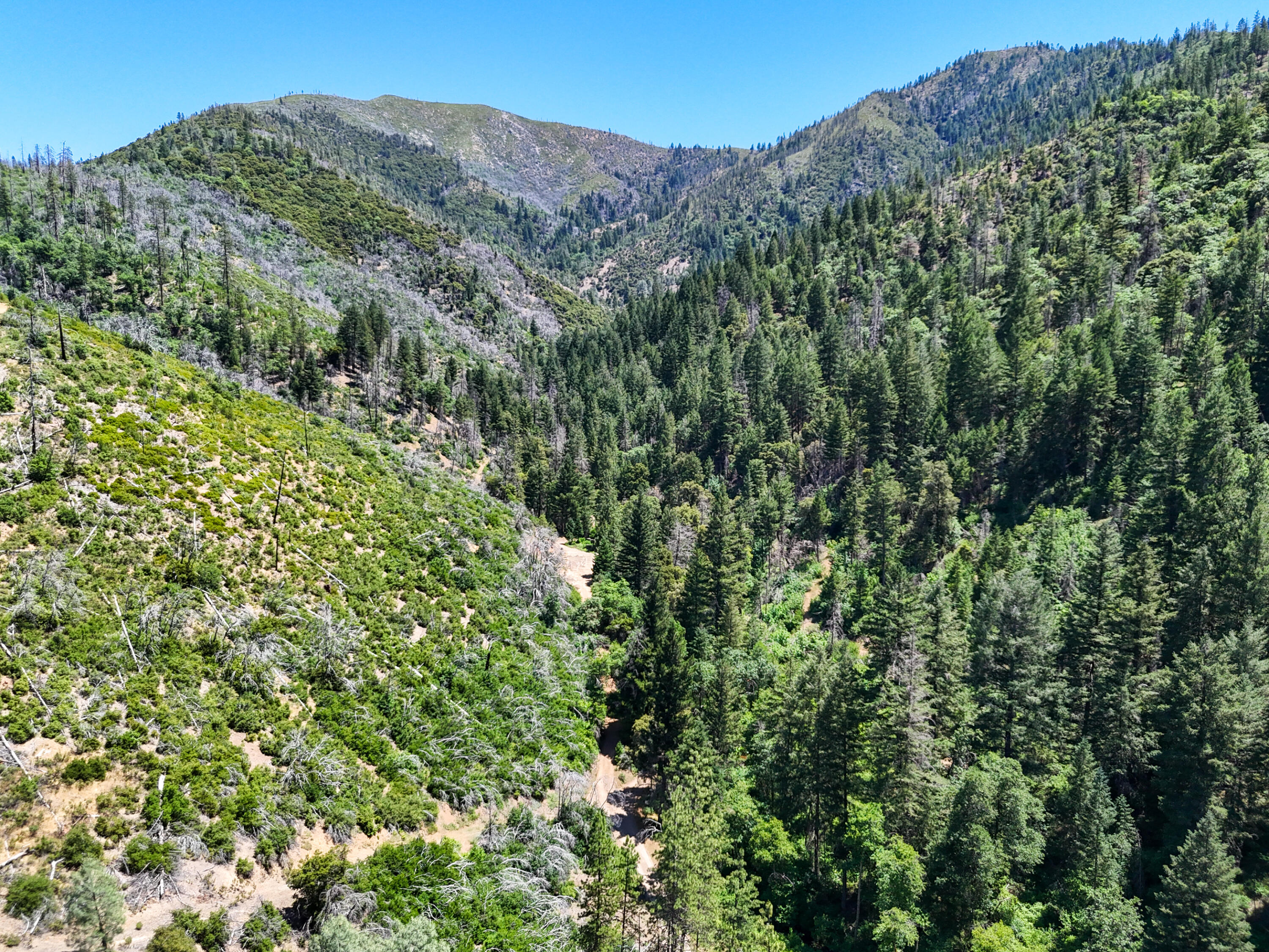 0 East Fork Road French Gulch, CA 96033 - Photo 51 of 78 Drone-7