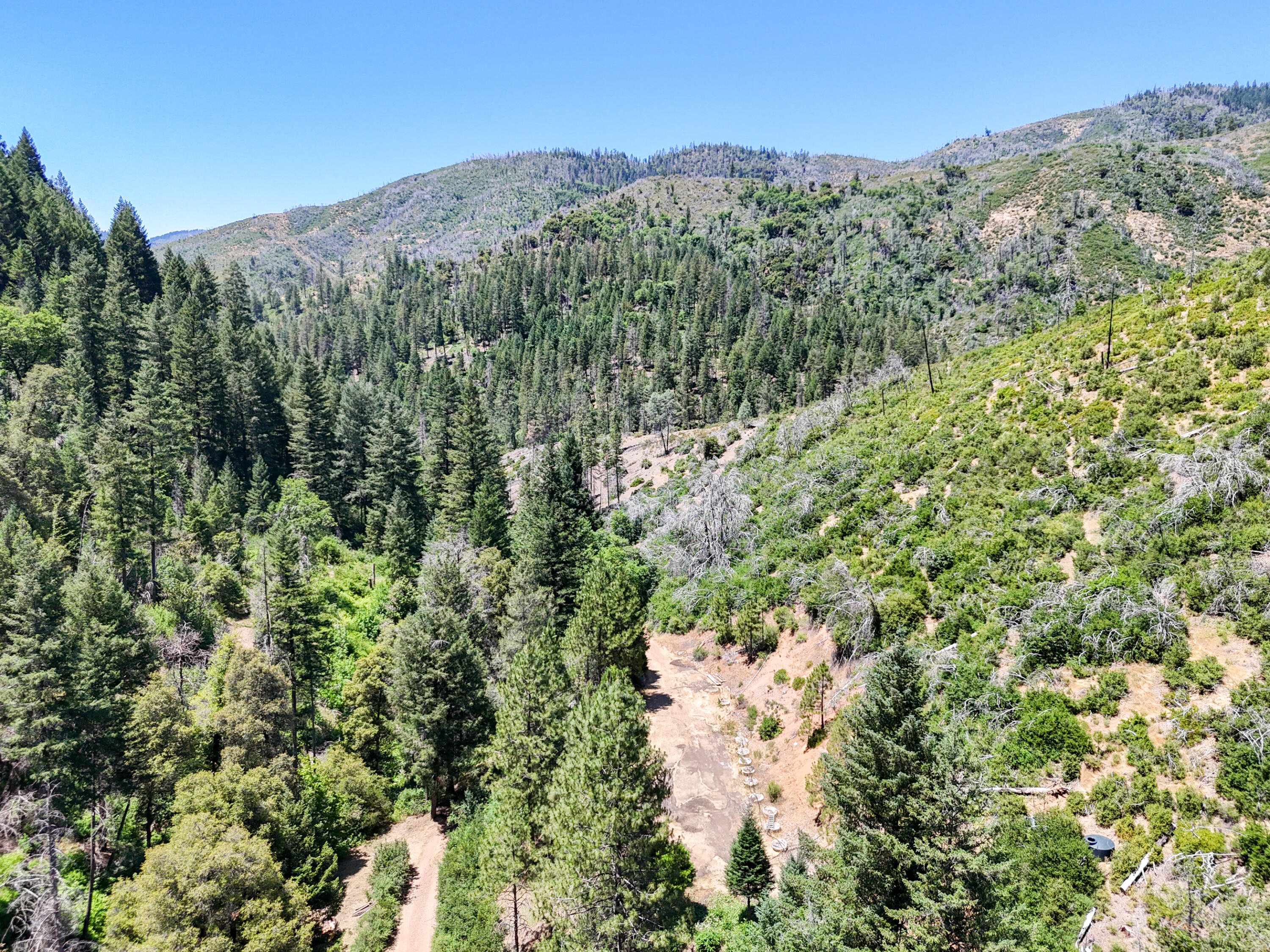 0 East Fork Road French Gulch, CA 96033 - Photo 53 of 78 a view of a forest with mountains in the background