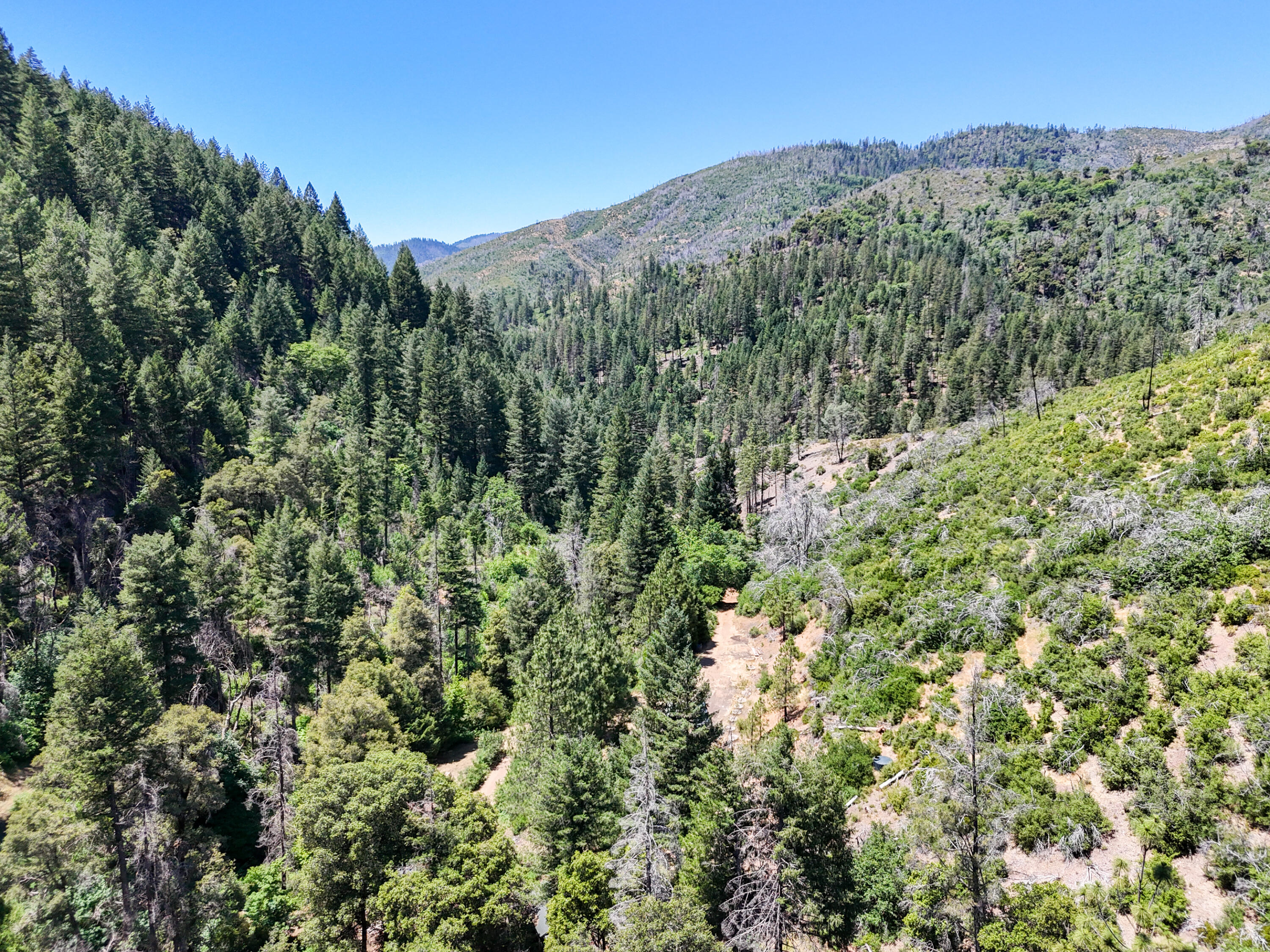 0 East Fork Road French Gulch, CA 96033 - Photo 54 of 78 a view of a lush green forest with trees in the background