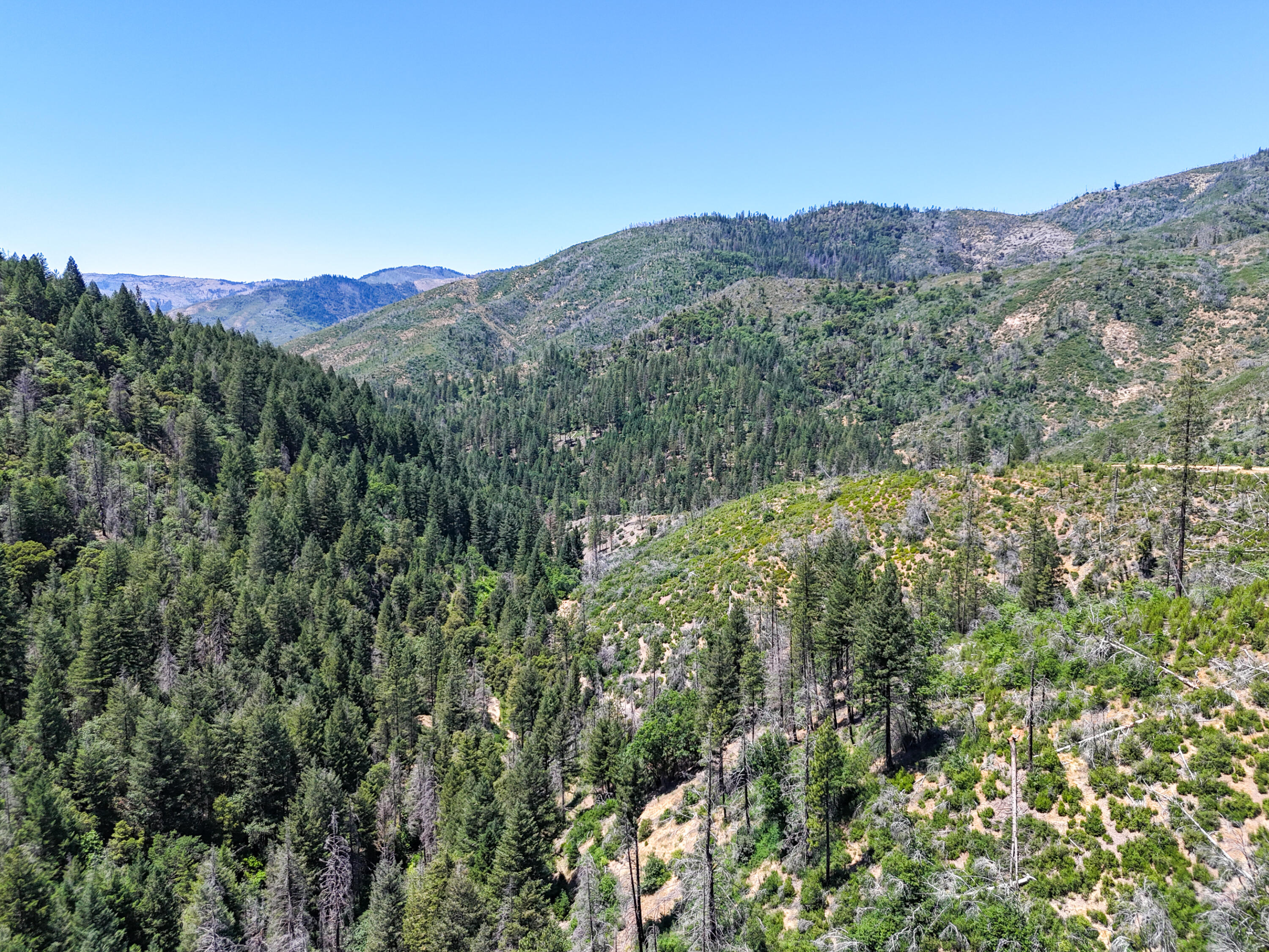 0 East Fork Road French Gulch, CA 96033 - Photo 56 of 78 Drone-15