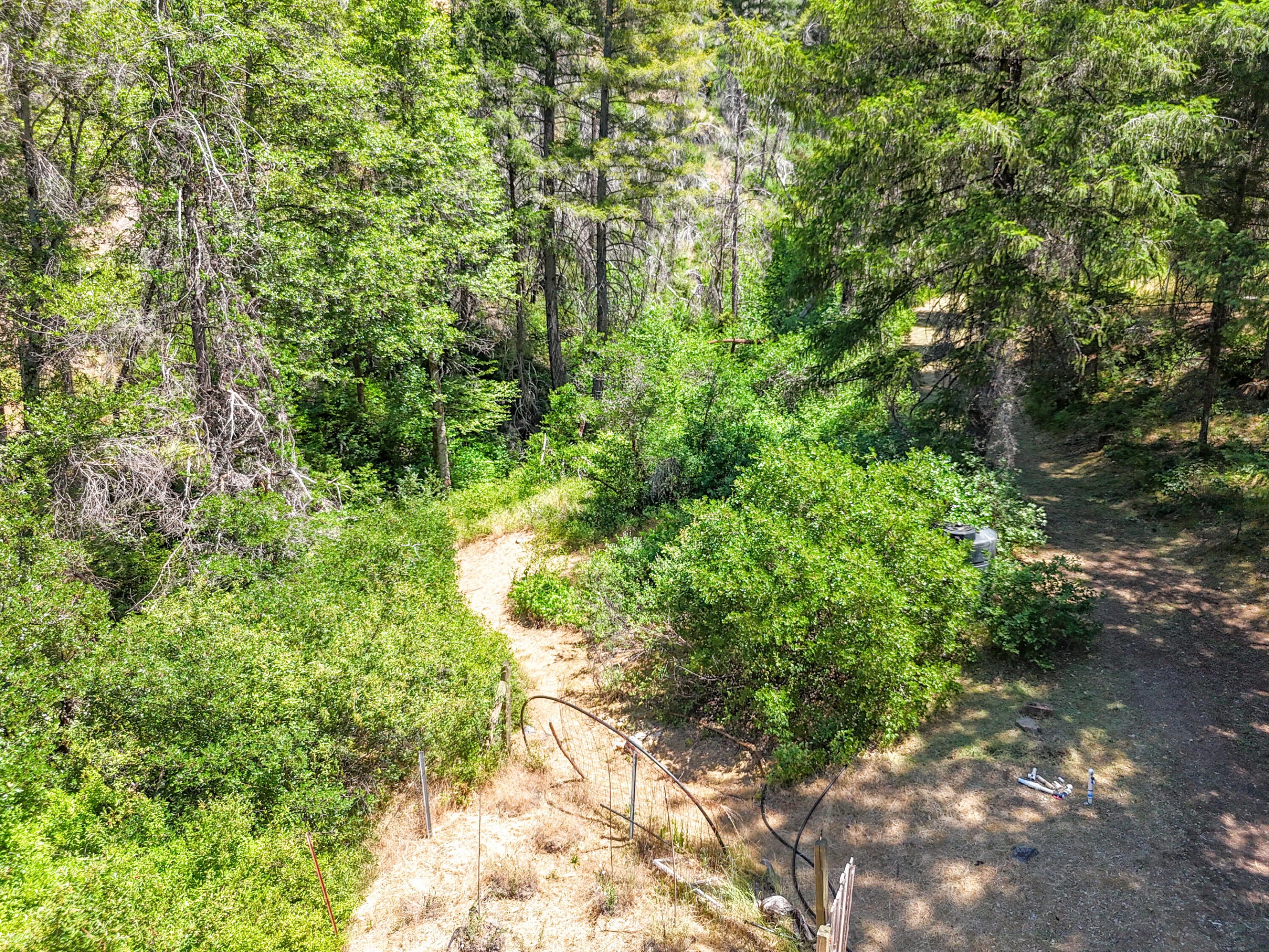 0 East Fork Road French Gulch, CA 96033 - Photo 67 of 78 a view of a yard with plants