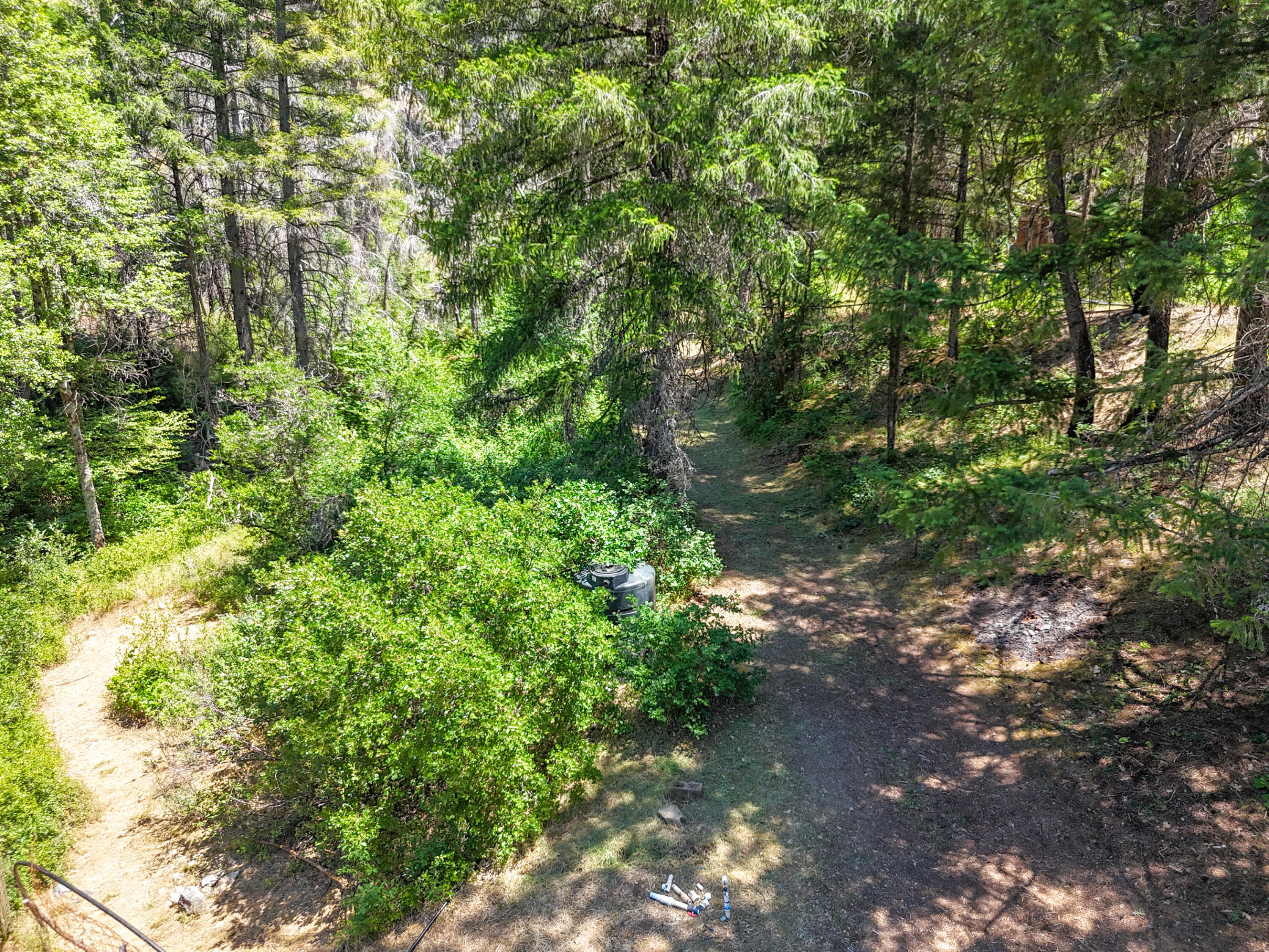 0 East Fork Road French Gulch, CA 96033 - Photo 68 of 78 a backyard of a house with lots of plants