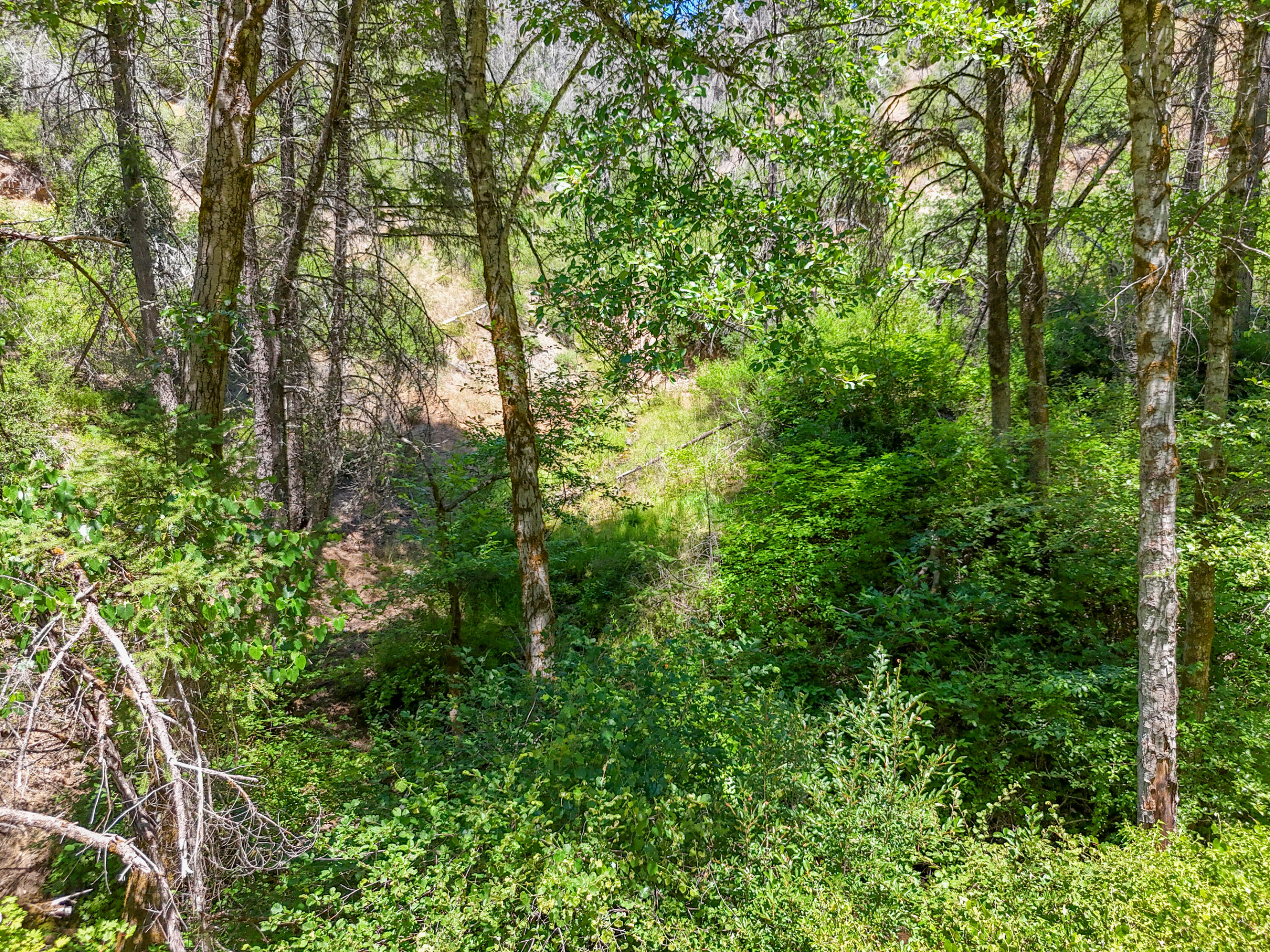 0 East Fork Road French Gulch, CA 96033 - Photo 70 of 78 Drone-41