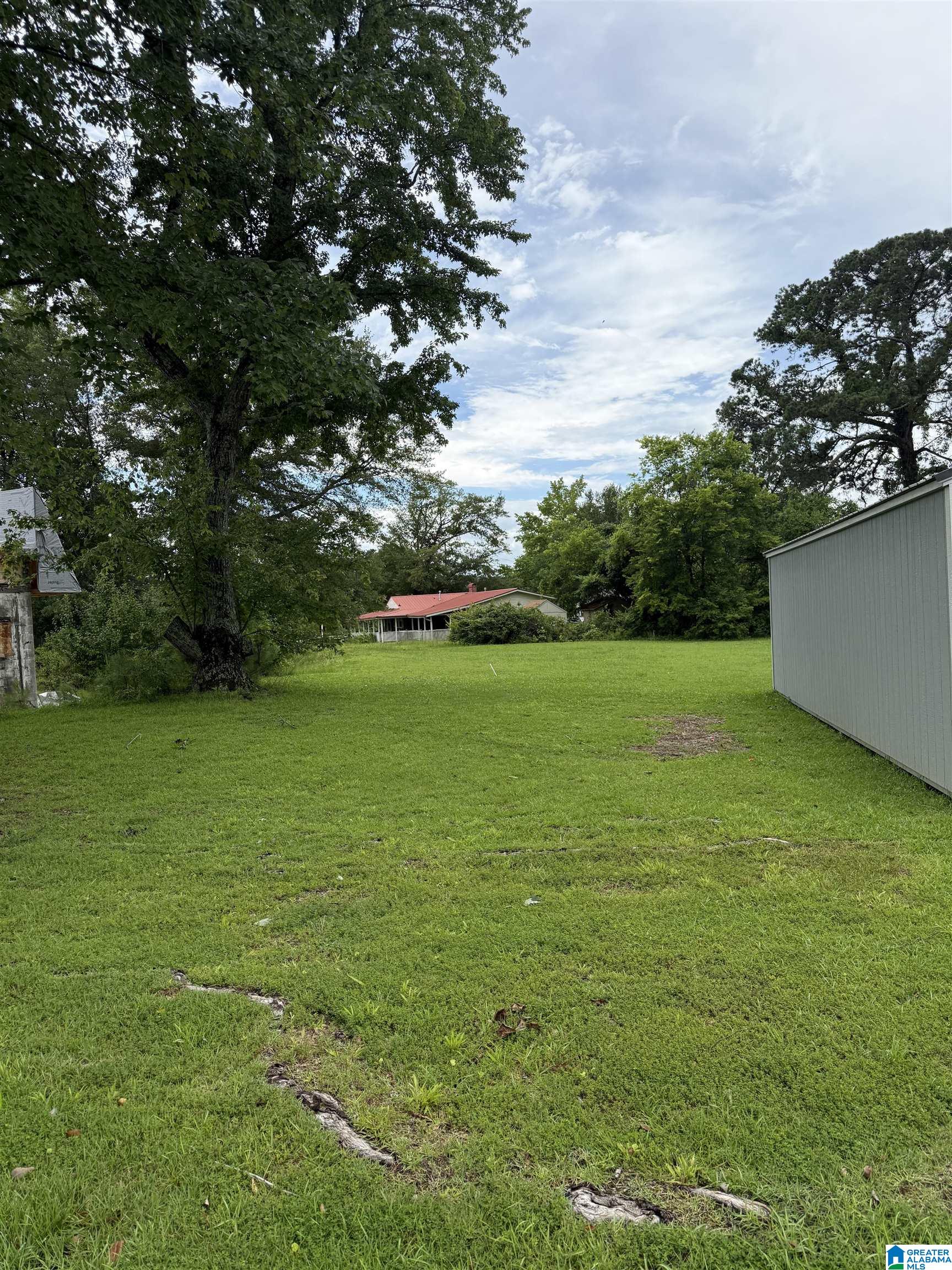 49 Cave Road Anniston, AL 36206 - Photo 8 of 9