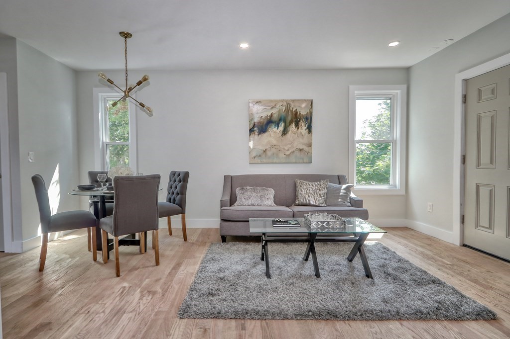 27 Alpine Street, Unit 2 Boston, MA 02119 - Photo 6 of 15 Gallery Image 6