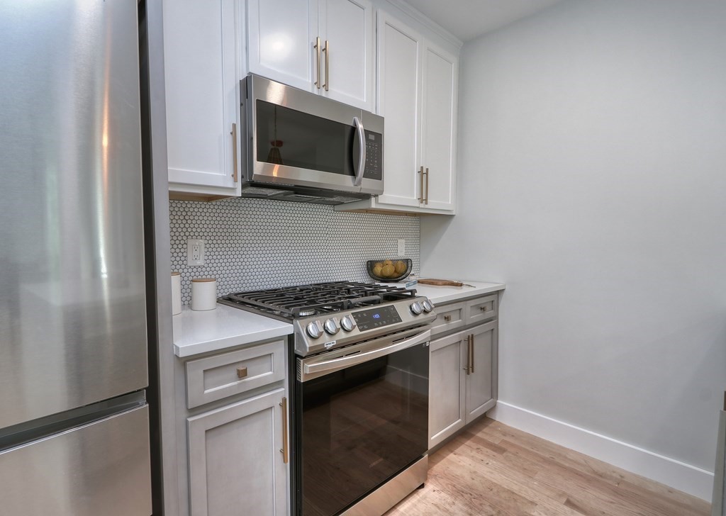 27 Alpine Street, Unit 2 Boston, MA 02119 - Photo 7 of 15 Gallery Image 7