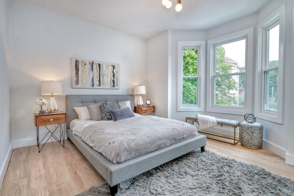 27 Alpine Street, Unit 2 Boston, MA 02119 - Photo 8 of 15 Gallery Image 8