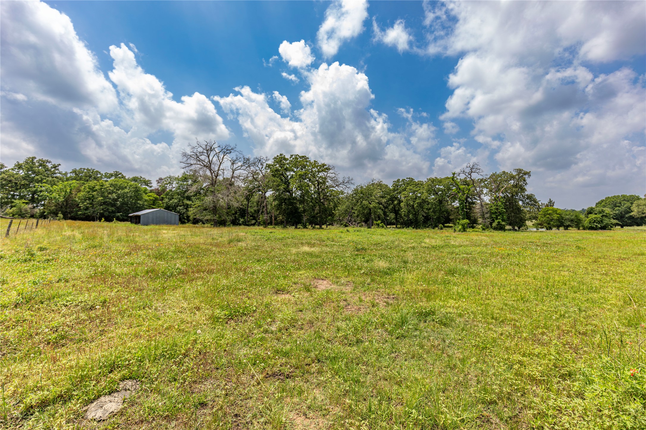 Lot 2 Mill Creek Ranch Road Bellville, TX 77418 - Photo 3 of 11