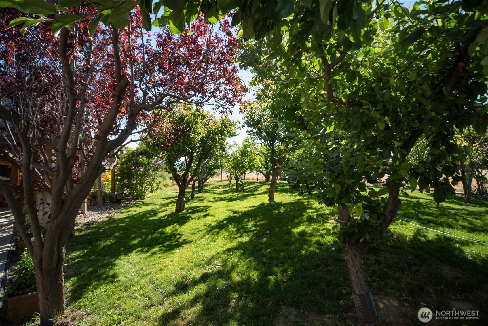 4405 Cove Road Ellensburg, WA 98926 - Photo 32 of 40 Gallery Image 32