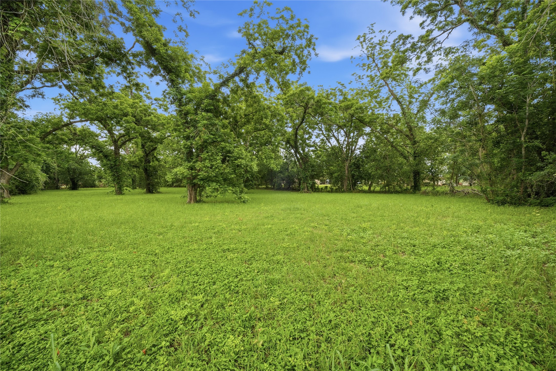 101 Outlar Street Wharton, TX 77488 - Photo 24 of 40 a view of a green field with trees in the background
