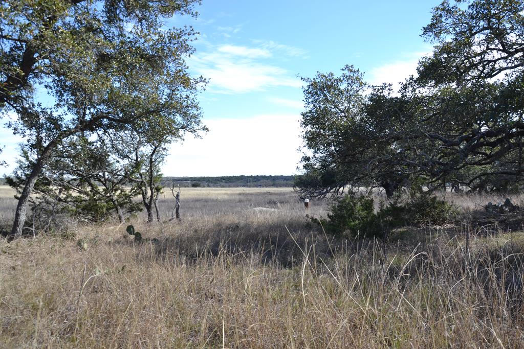 1150 Duderstadt Road, Unit 13 Harper, TX 78631 - Photo 1 of 15 Main View
