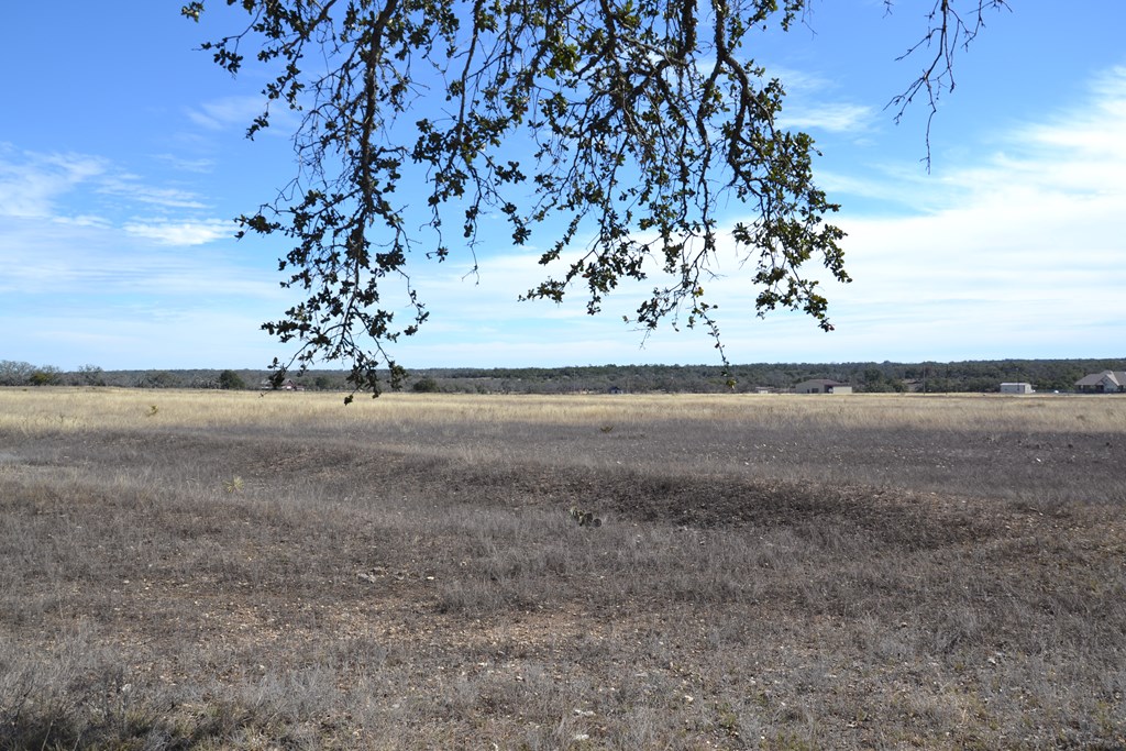 1150 Duderstadt Road, Unit 13 Harper, TX 78631 - Photo 3 of 15