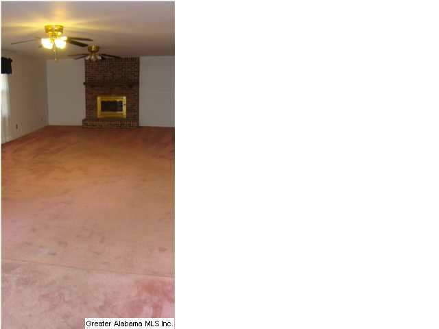 167 13th Street Southwest Alabaster, AL 35007 - Photo 23 of 24