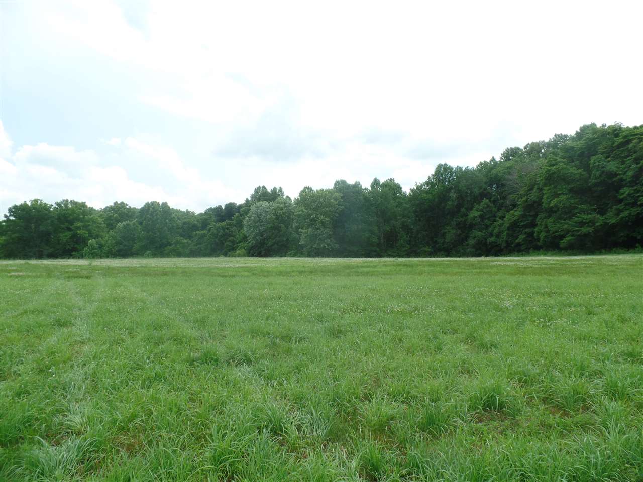 East Sand Hollar Road Bloomfield, IN 47424 - Photo 3 of 4
