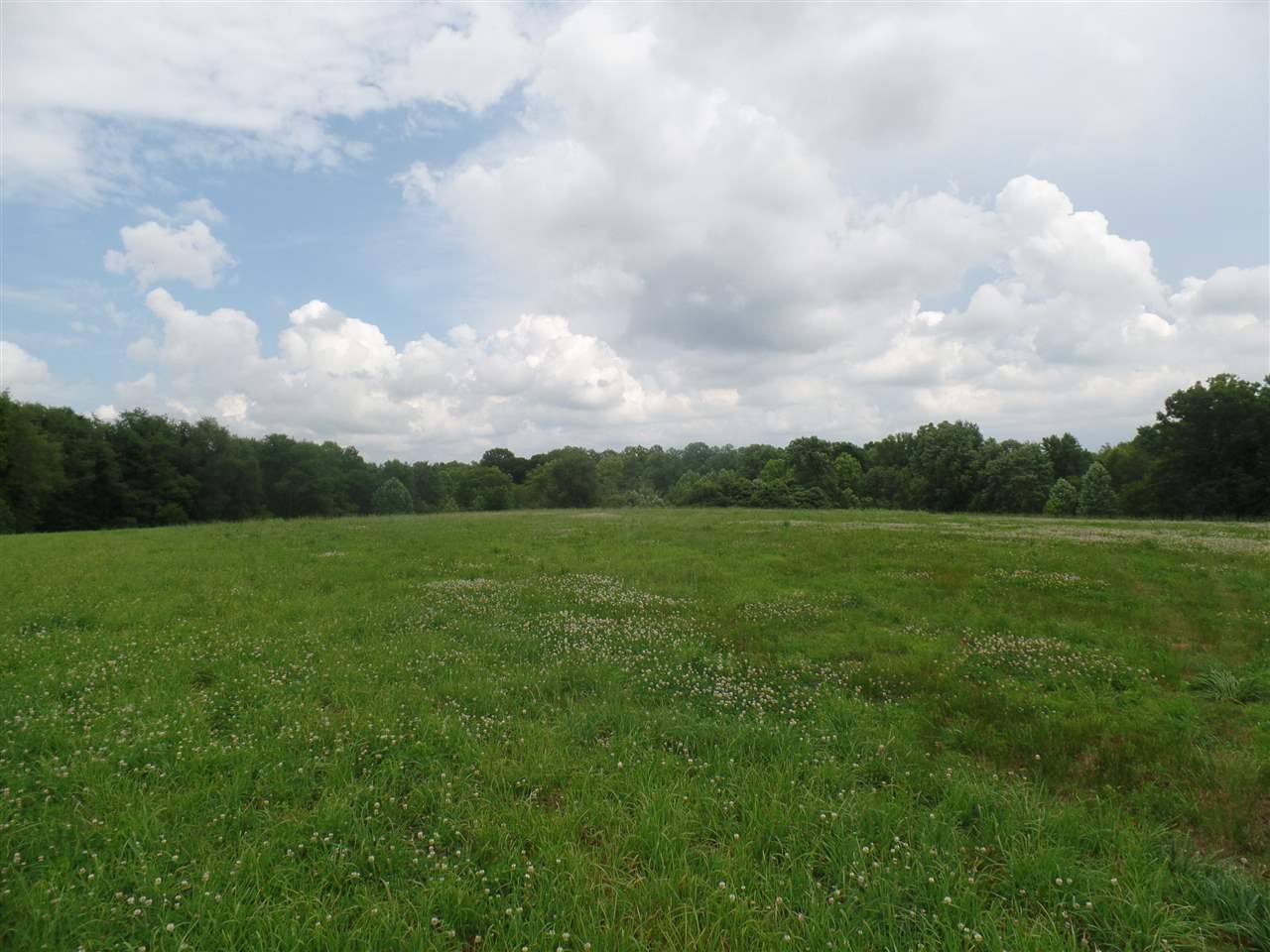 East Sand Hollar Road Bloomfield, IN 47424 - Photo 4 of 4