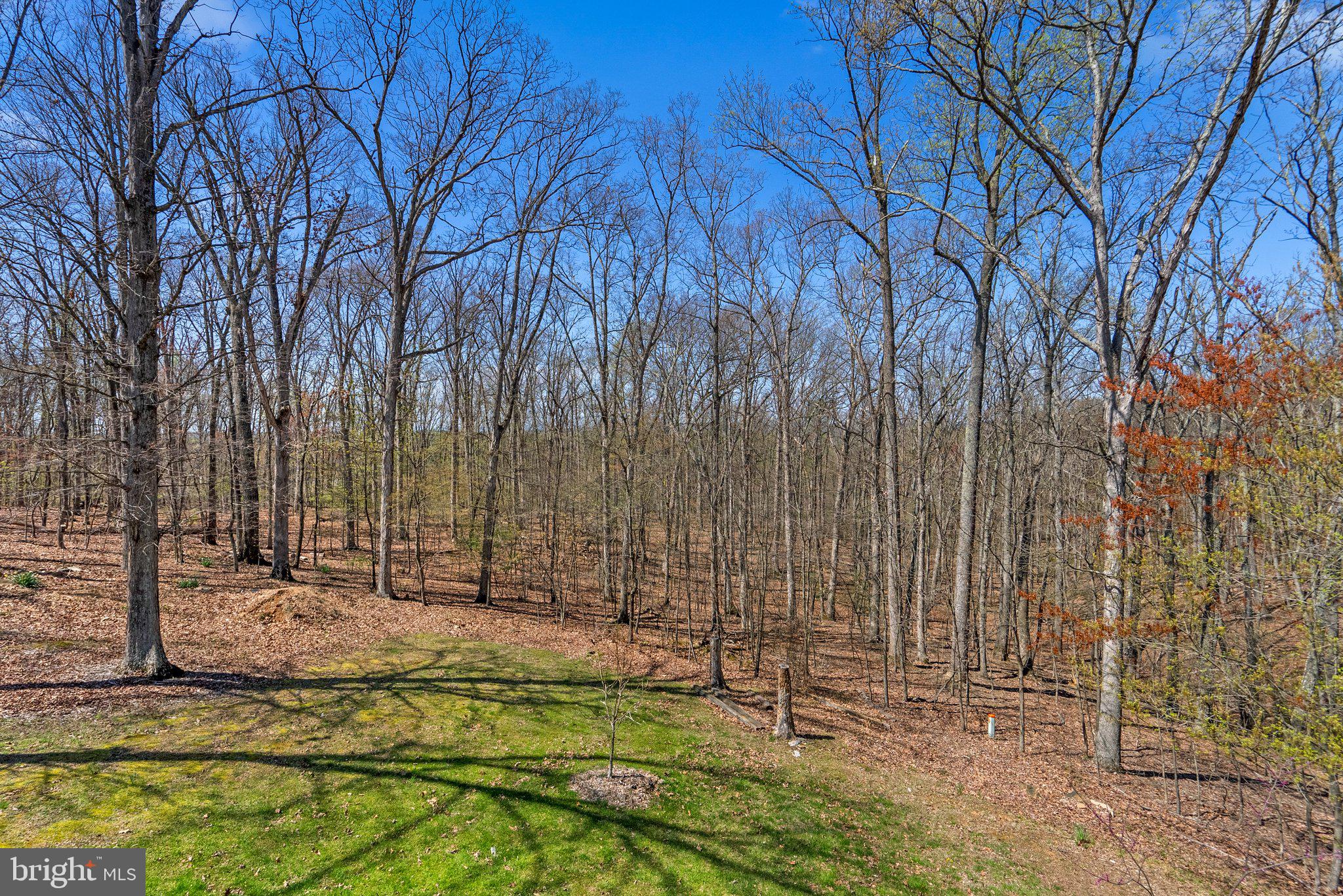 7180 Baldwin Ridge Road Warrenton, VA 20187 - Photo 42 of 46 Private Lot - Backs to Ravine