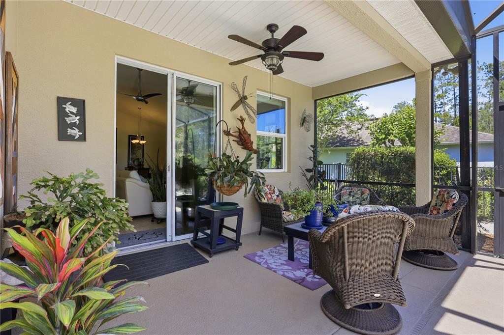 124 South Hummingbird Place Palm Coast, FL 32164 - Photo 29 of 47 a living room with furniture potted plant floor to ceiling window and a potted plant