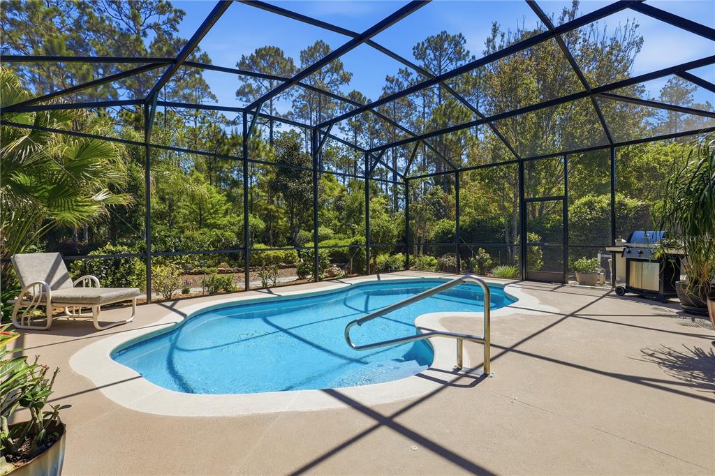 124 South Hummingbird Place Palm Coast, FL 32164 - Photo 3 of 47 a view of a swimming pool with a patio