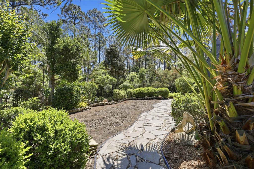 124 South Hummingbird Place Palm Coast, FL 32164 - Photo 31 of 47 a view of a garden with plants