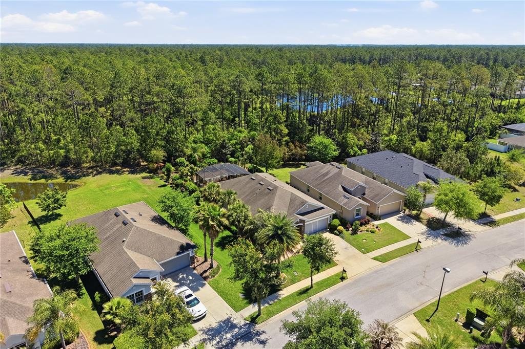 124 South Hummingbird Place Palm Coast, FL 32164 - Photo 33 of 47 an aerial view of residential house with outdoor space and trees all around