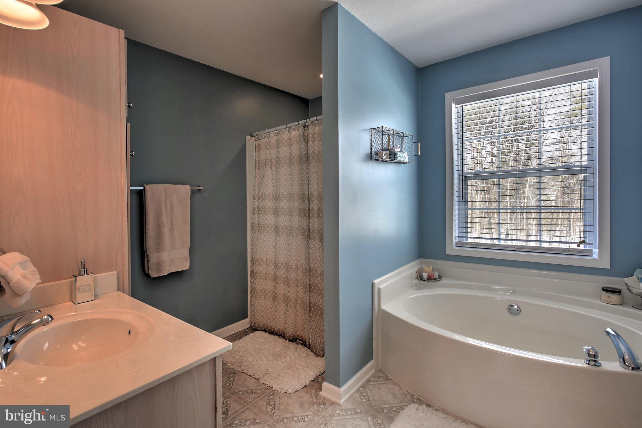 9674 Poindexter Road Louisa, VA 23093 - Photo 14 of 24 Bath (Master)