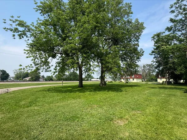 a view of a trees in a park